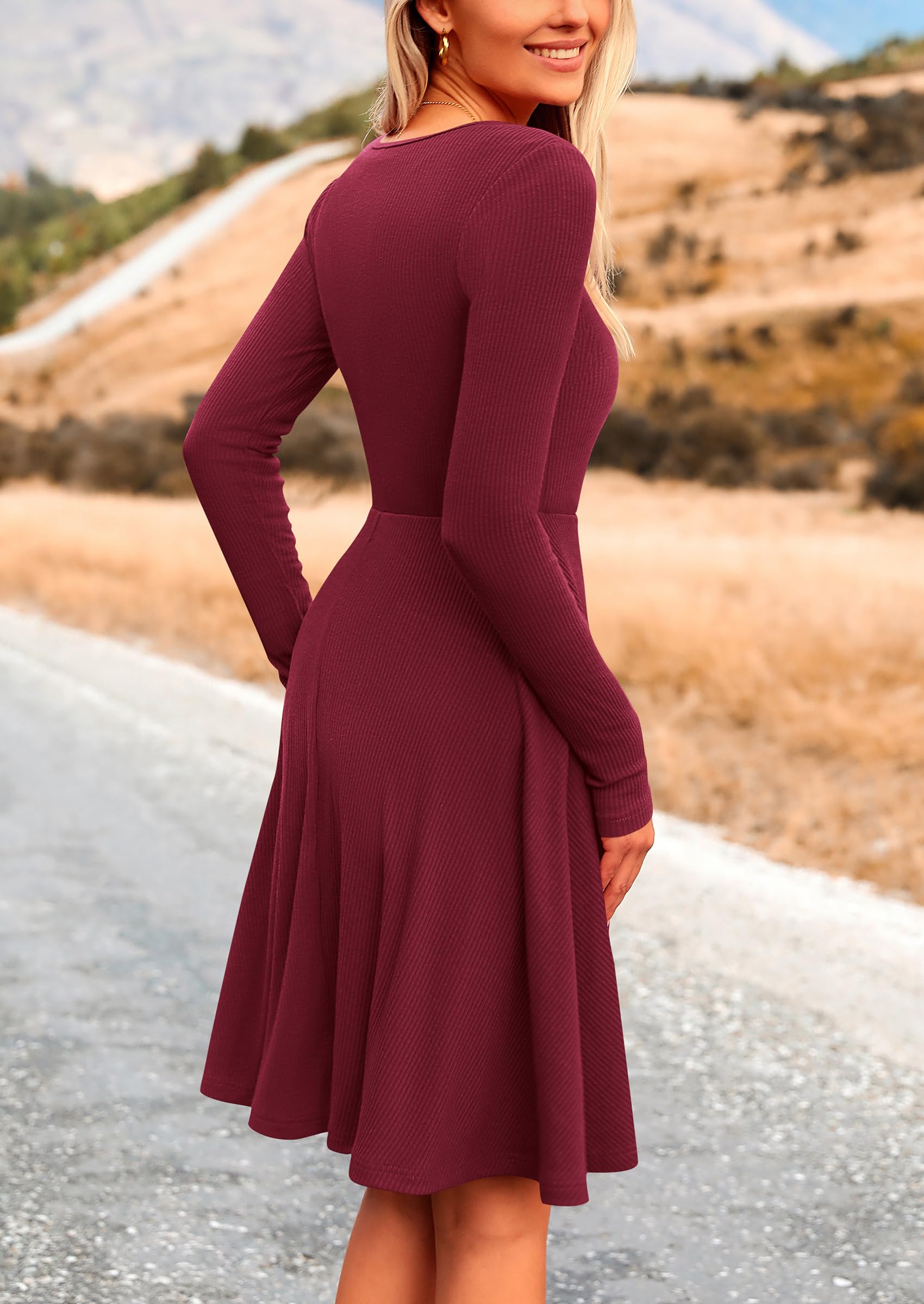 Women's Fall Casual Long Sleeve Short Dress (Wine Red,S)