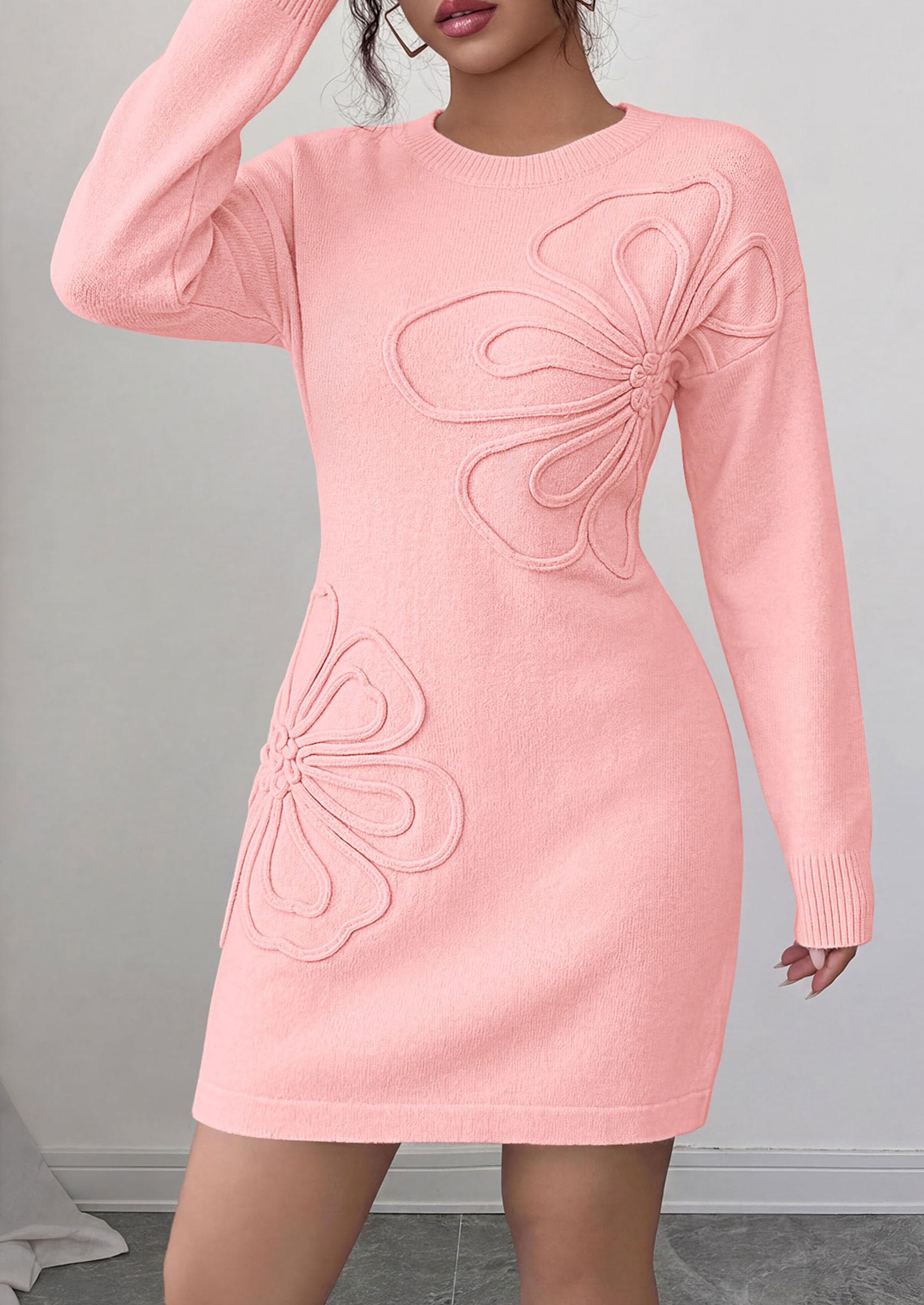 Women's Embroidered Long Sleeve Bodycon Mini Sweater Dress