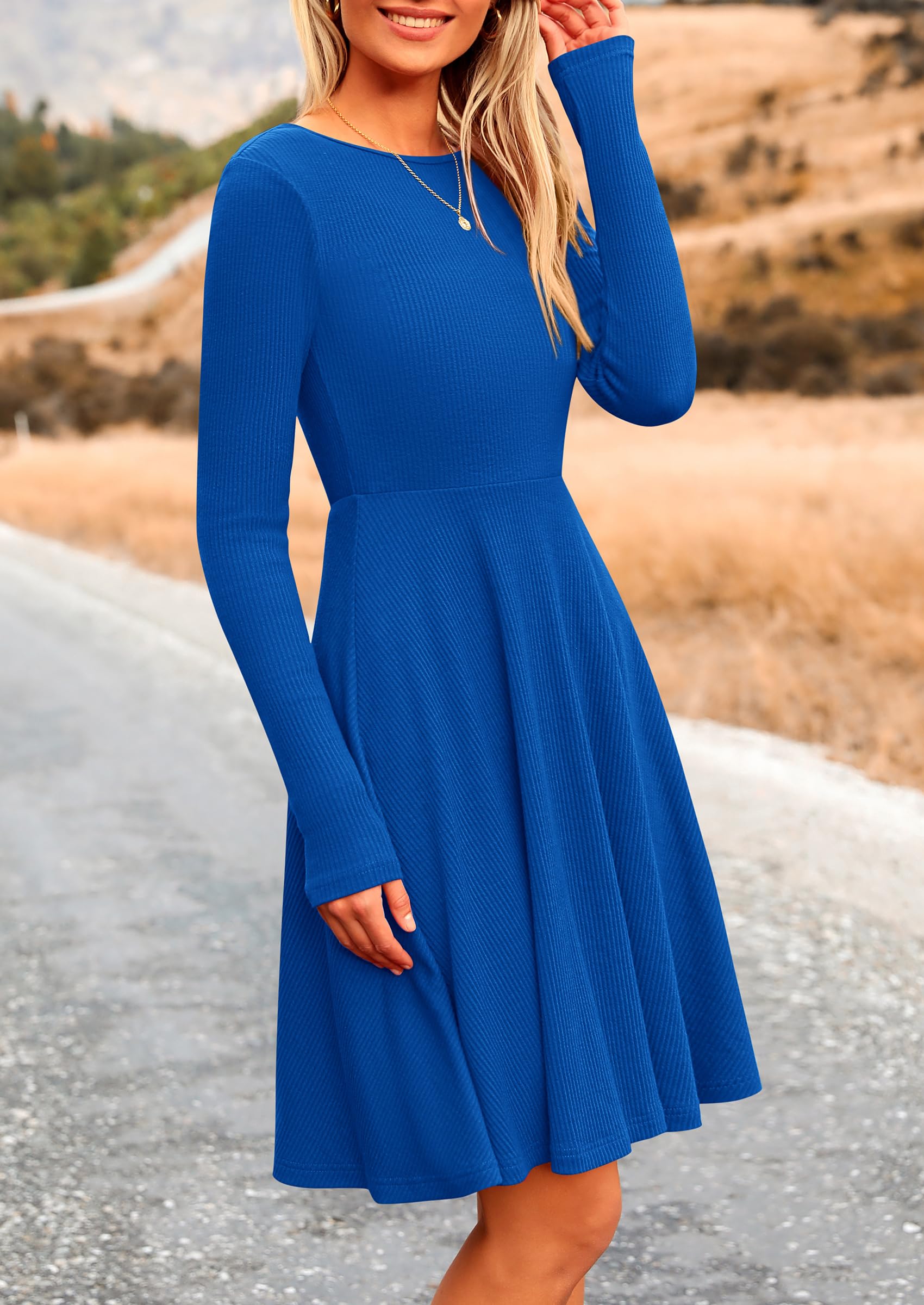 Women's Fall Casual Long Sleeve Short Dress (Blue,S)