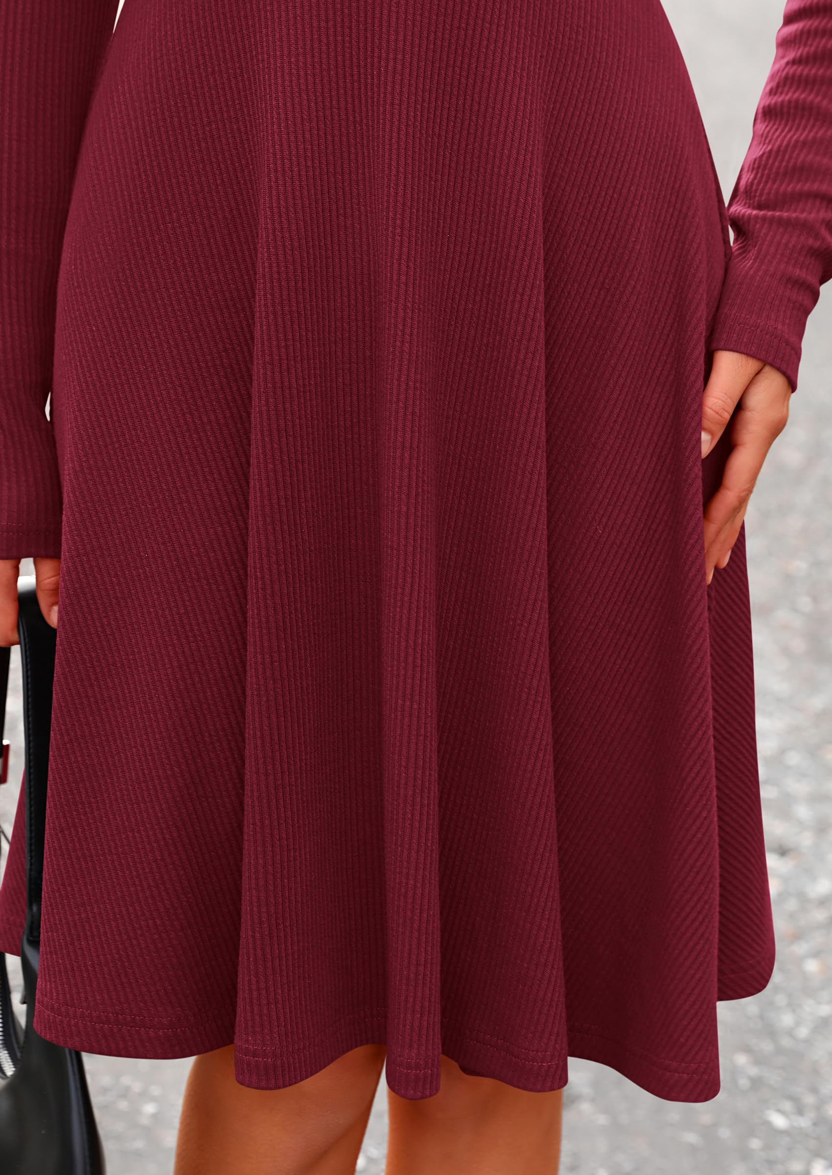 Women's Fall Casual Long Sleeve Short Dress (Wine Red,S)