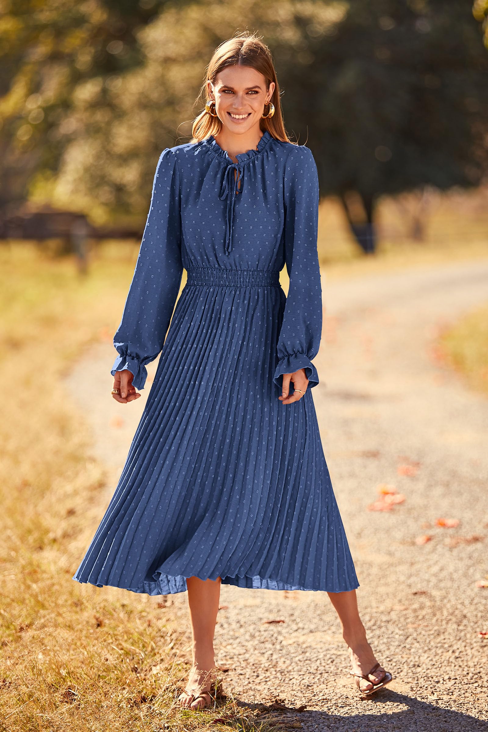 Women's Long Flowy Dress 2025 Spring Fall Long Sleeve Swiss Dot V Neck Midi Party Dresses (Grey Blue,Small)