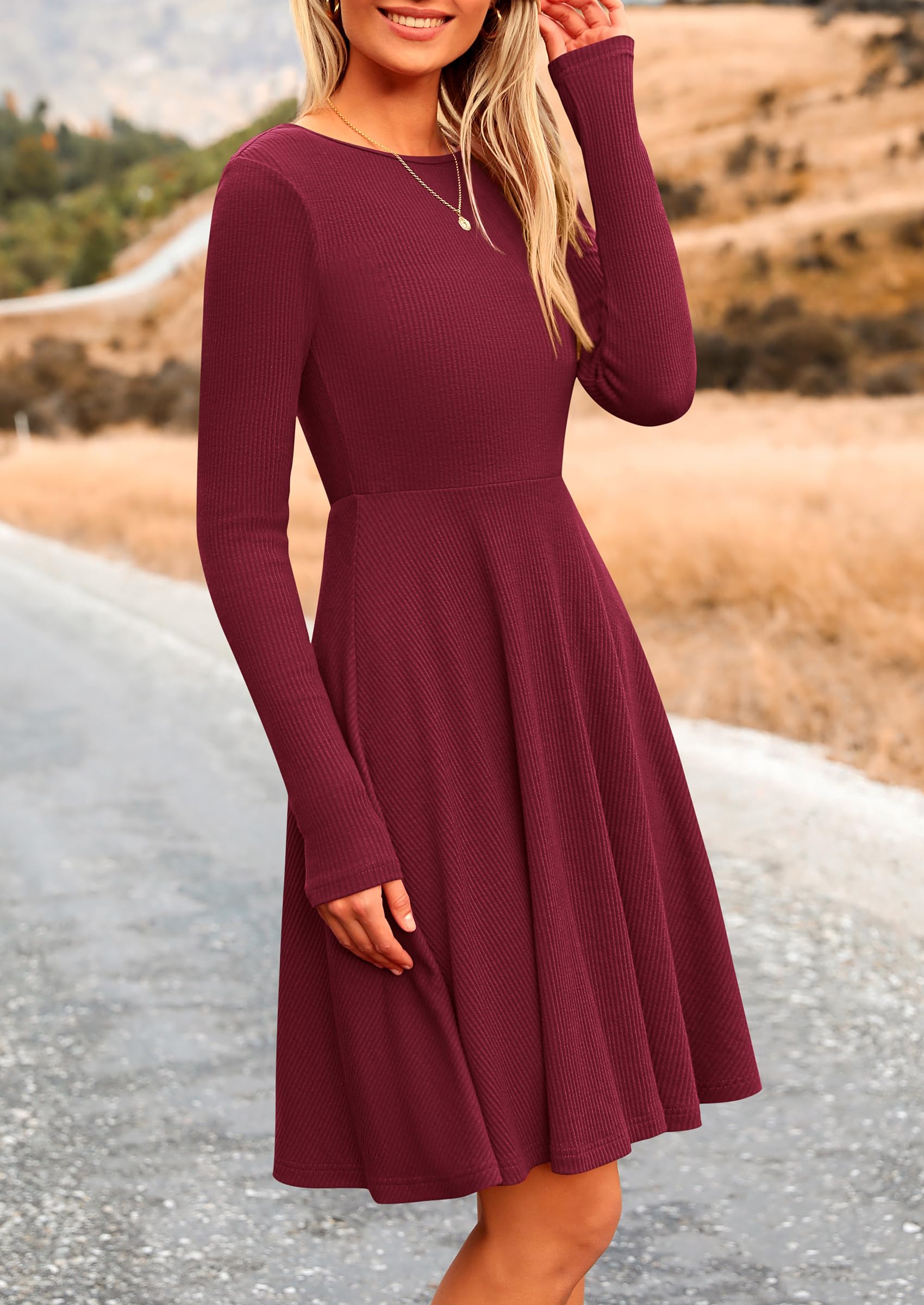 Women's Fall Casual Long Sleeve Short Dress (Wine Red,S)