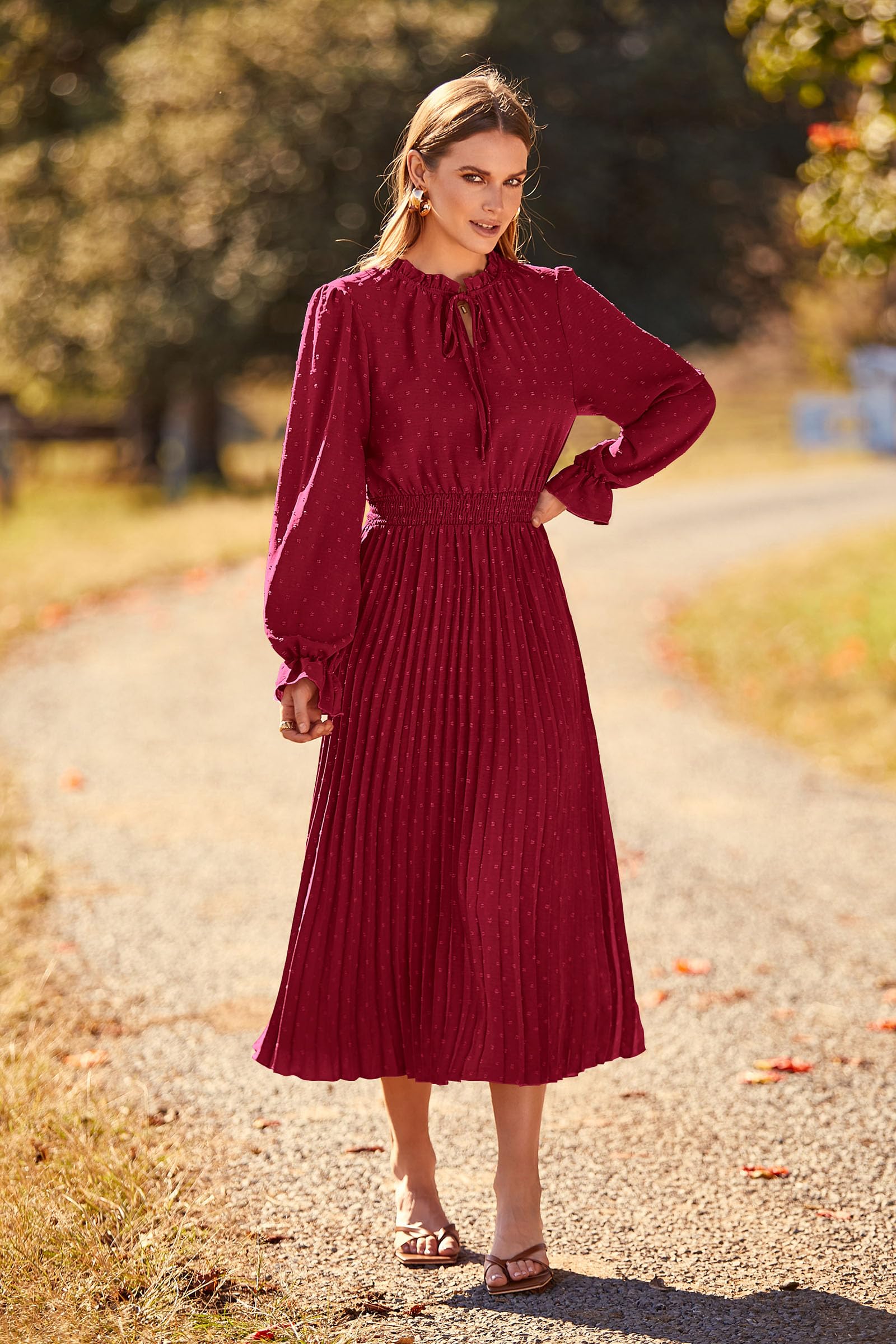 Womens Pleated Midi Dress Casual Long Sleeve V Neck Swiss Dot Beach Flowy Dresses (Wine Red,Small)