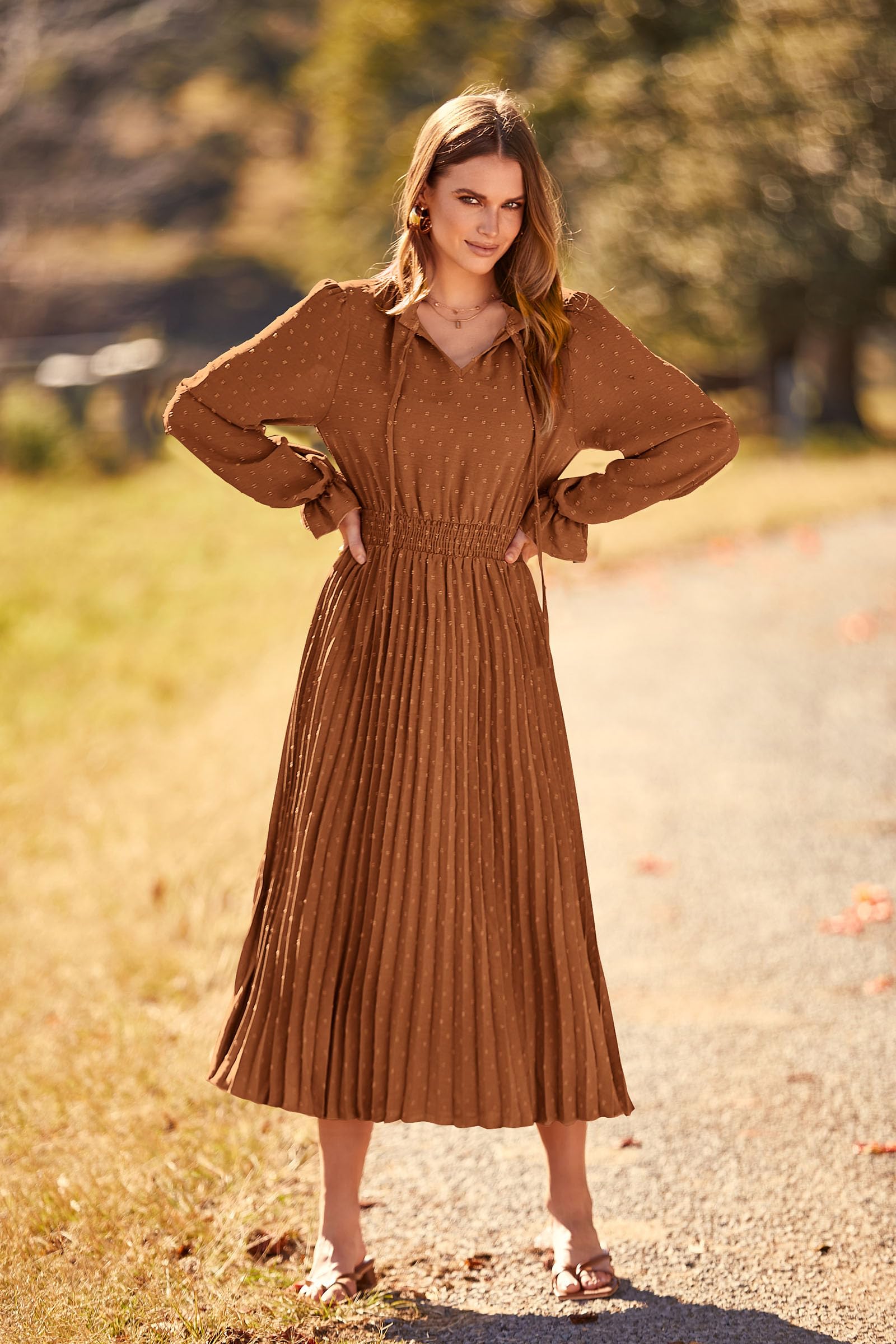 Women's 2025 Spring Fall Wedding Guest Dress Long Sleeve Swiss Dot Pleated A Line Midi Dress (Brown,Small)