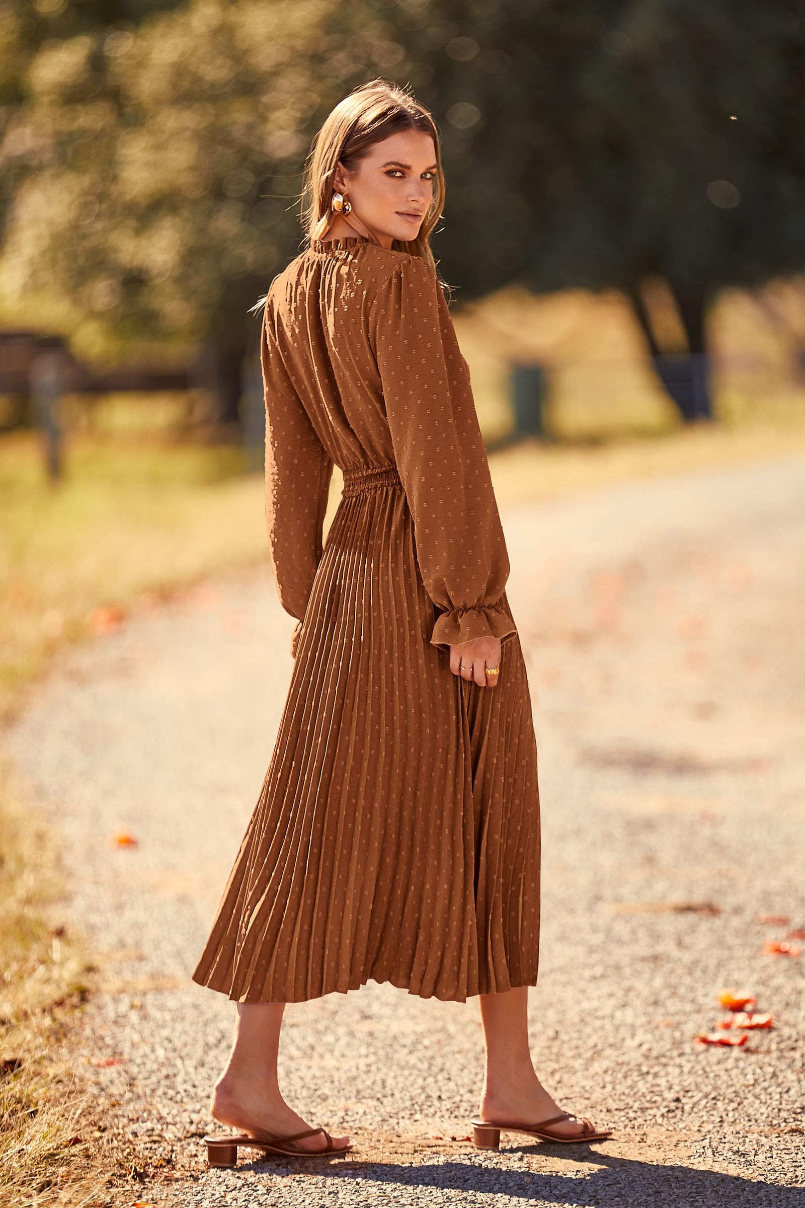 Women's 2025 Spring Fall Wedding Guest Dress Long Sleeve Swiss Dot Pleated A Line Midi Dress (Brown,Small)