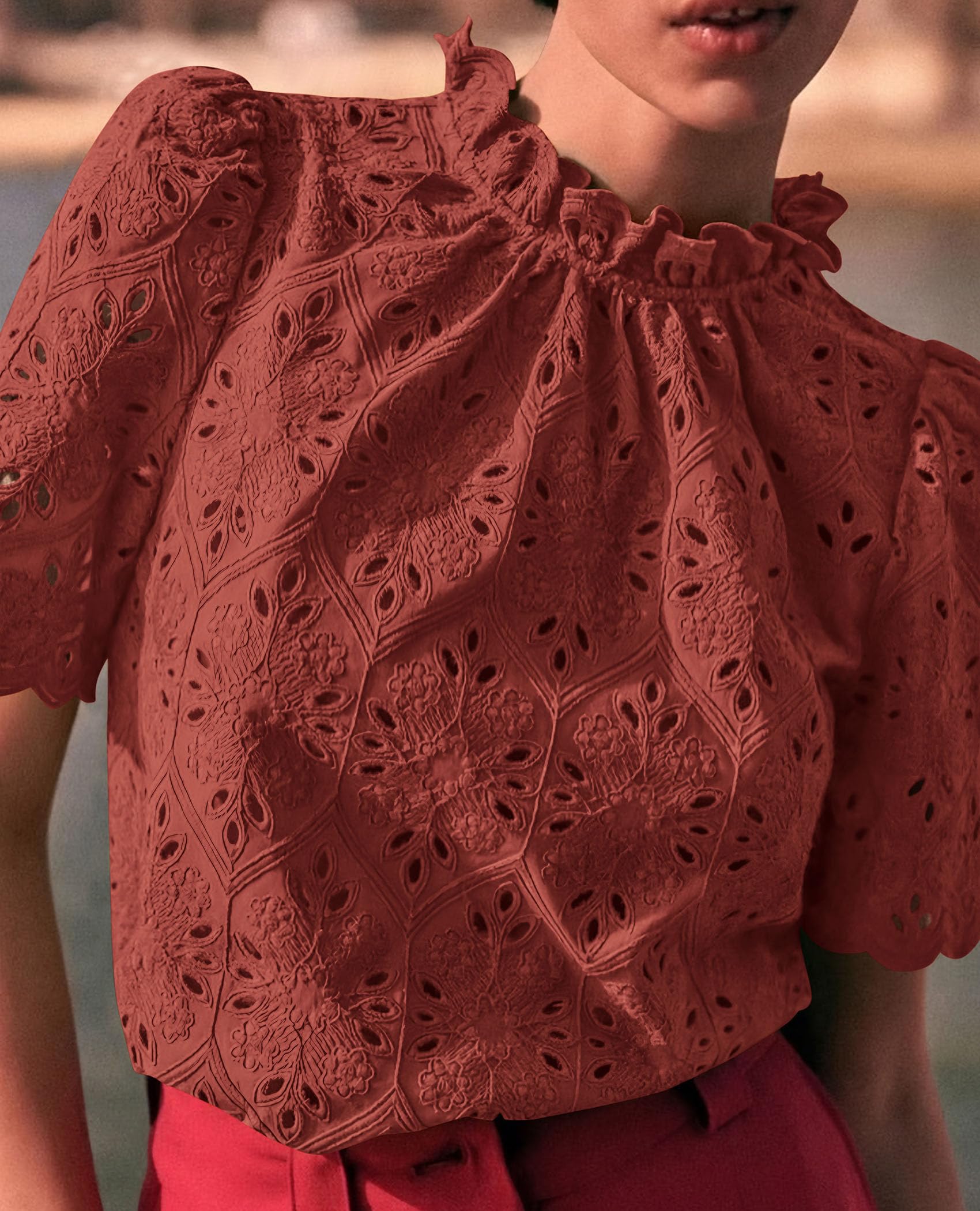 Women Summer Tops Eyelet Embroidered Shirts,Brown Red,XS