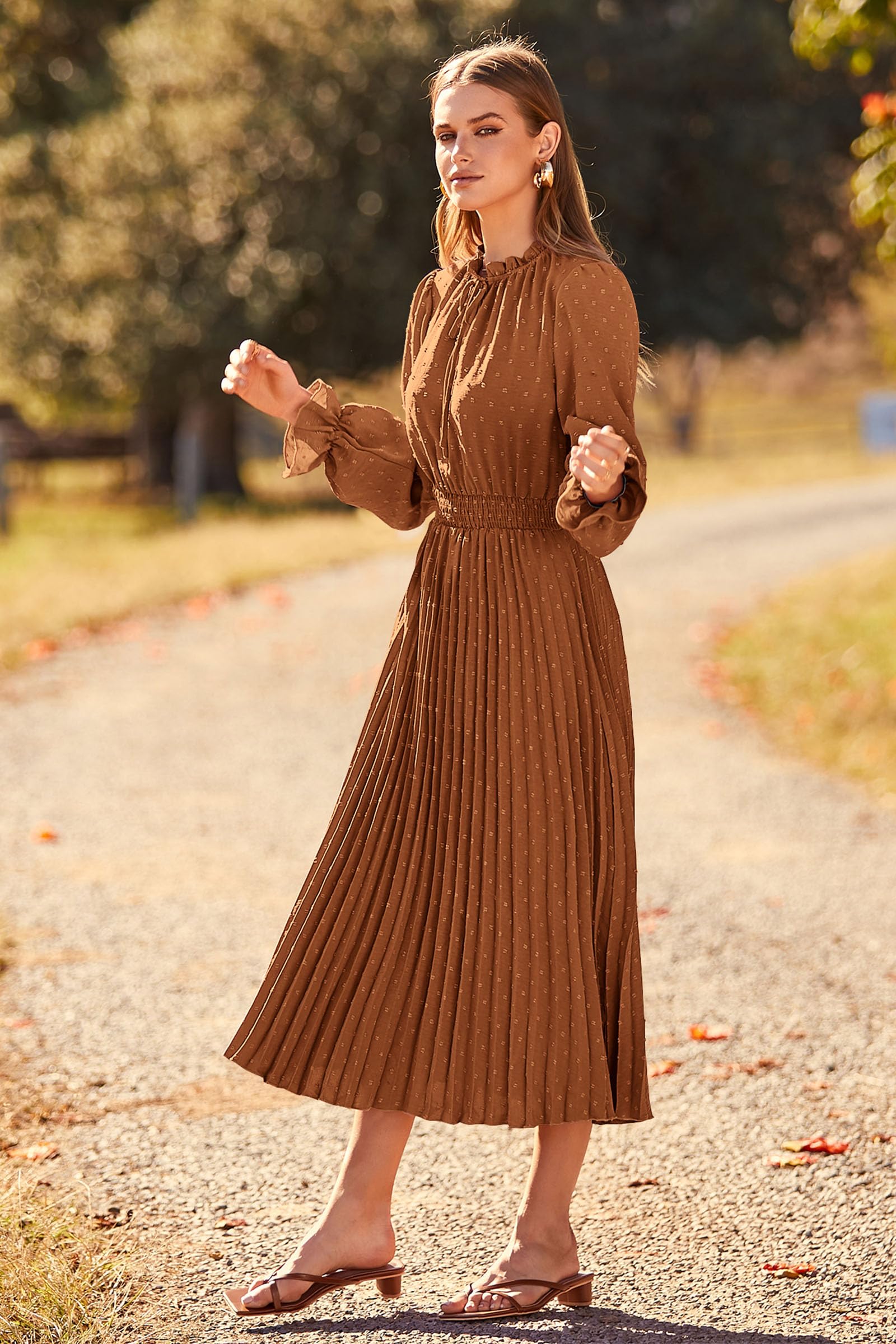 Women's 2025 Spring Fall Wedding Guest Dress Long Sleeve Swiss Dot Pleated A Line Midi Dress (Brown,Small)