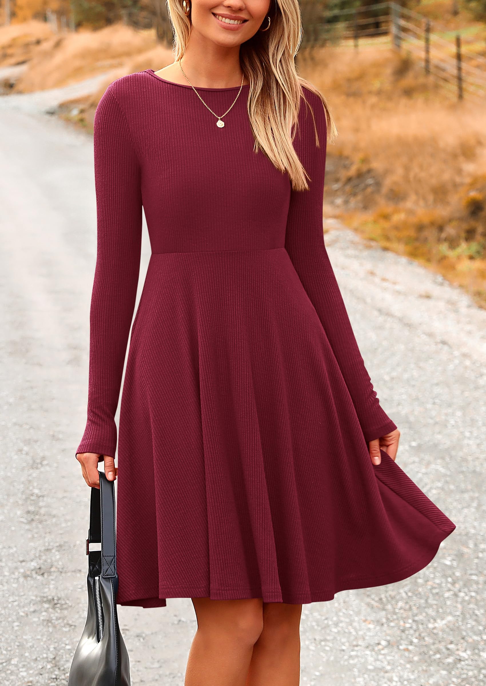 Women's Fall Casual Long Sleeve Short Dress (Wine Red,S)