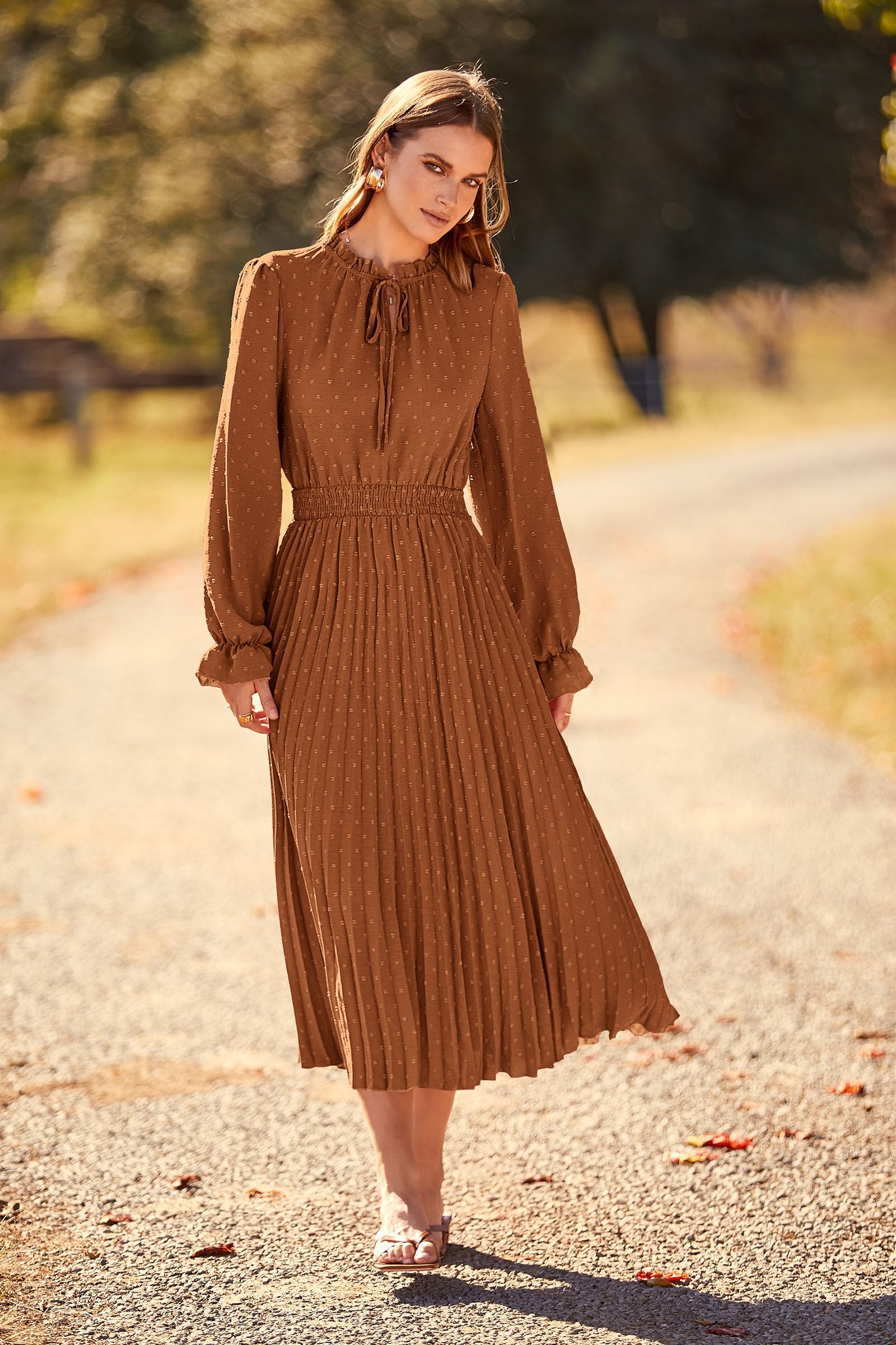 Women's 2025 Spring Fall Wedding Guest Dress Long Sleeve Swiss Dot Pleated A Line Midi Dress (Brown,Small)