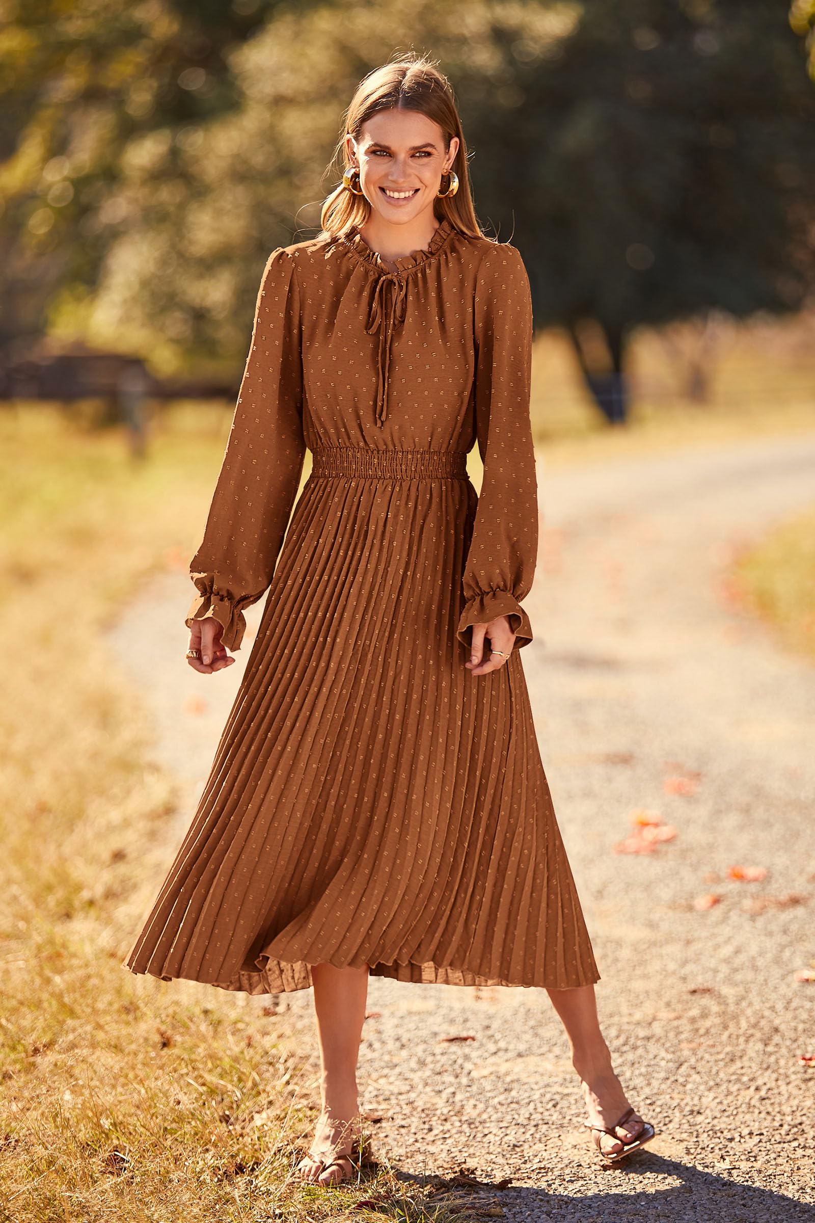 Women's 2025 Spring Fall Wedding Guest Dress Long Sleeve Swiss Dot Pleated A Line Midi Dress (Brown,Small)