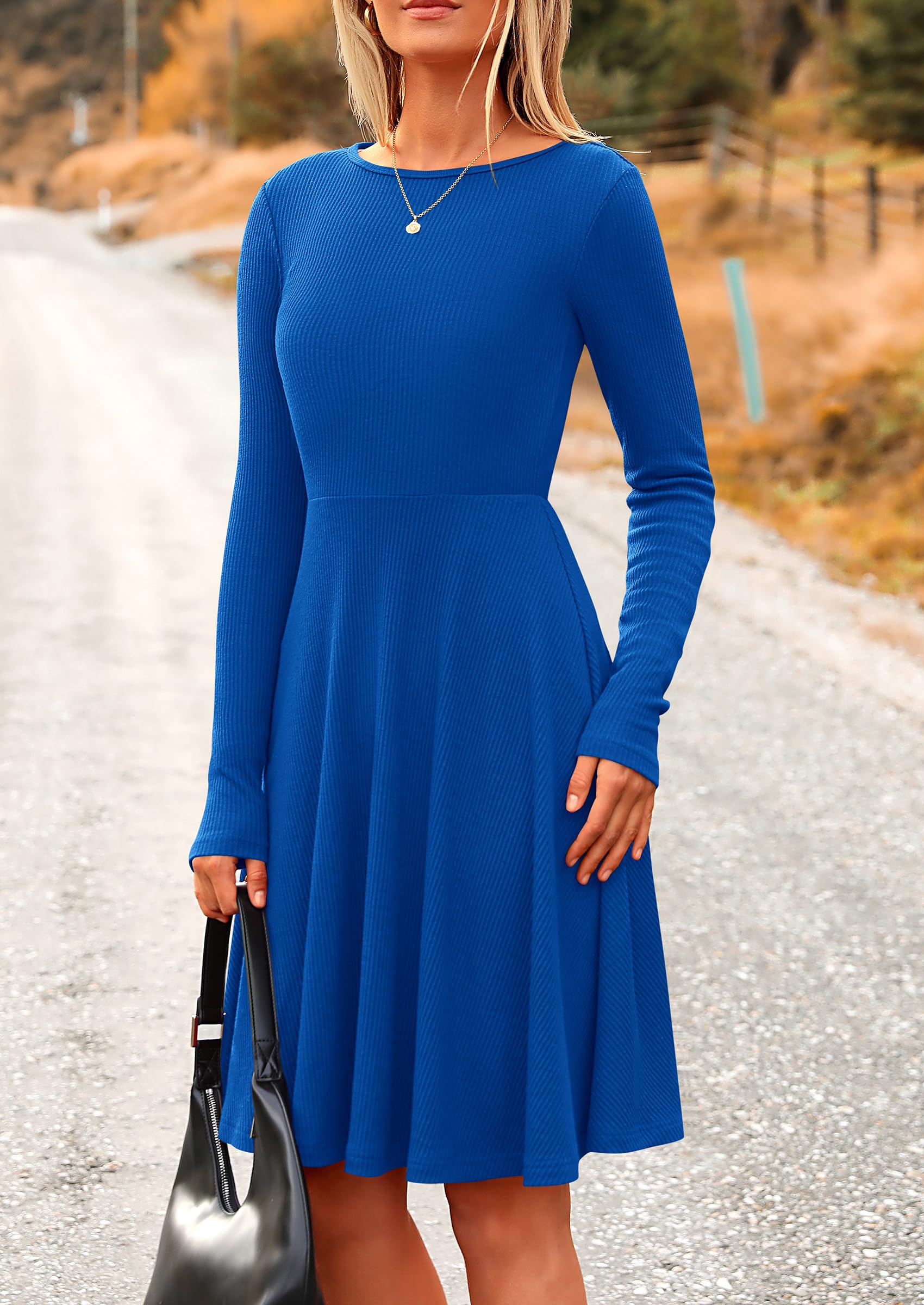Women's Fall Casual Long Sleeve Short Dress (Blue,S)