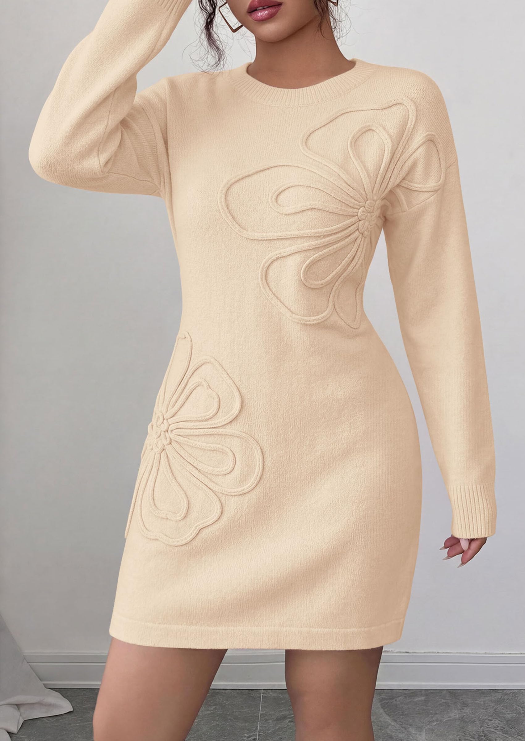 Women's Embroidered Long Sleeve Bodycon Mini Sweater Dress