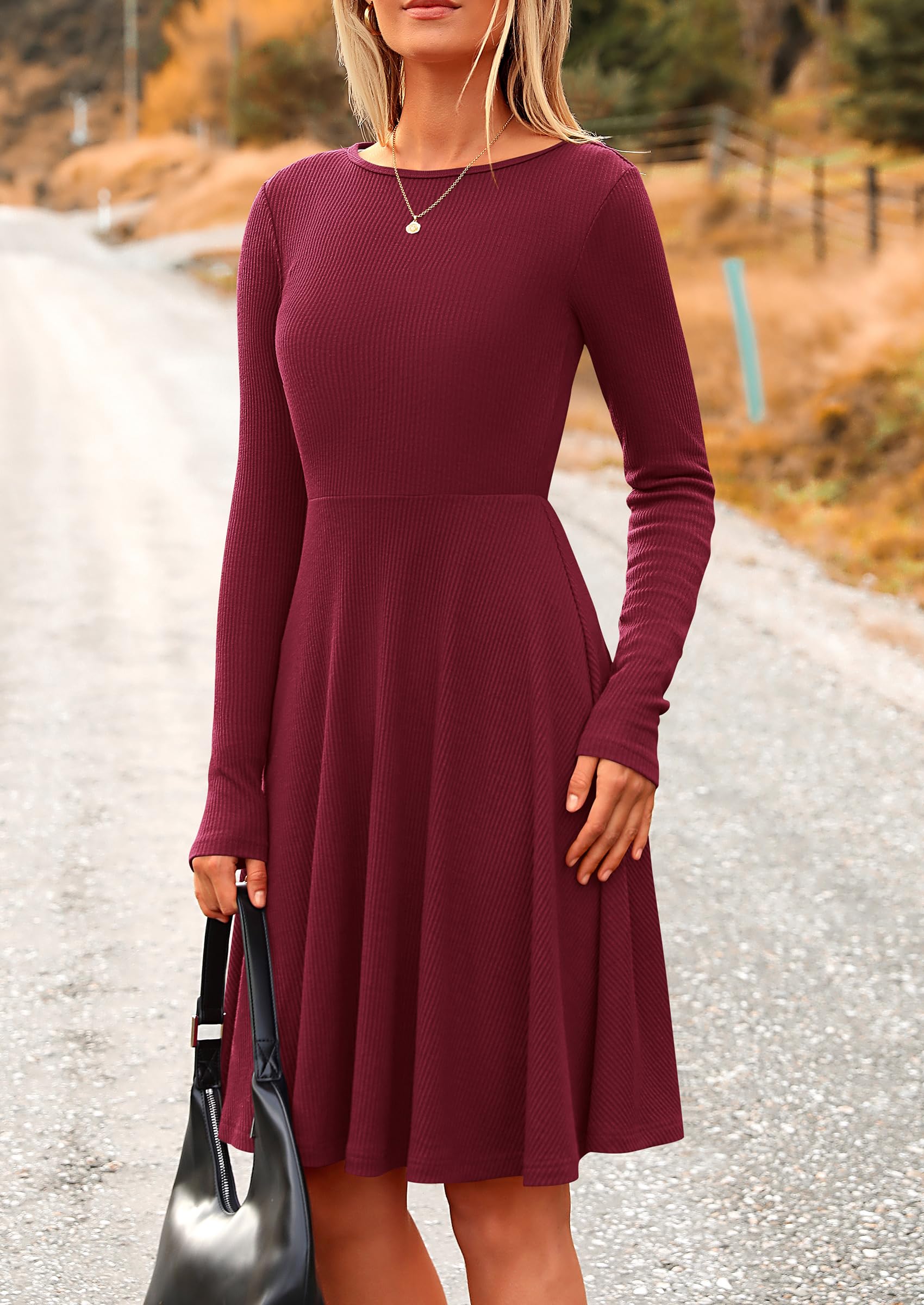 Women's Fall Casual Long Sleeve Short Dress (Wine Red,S)