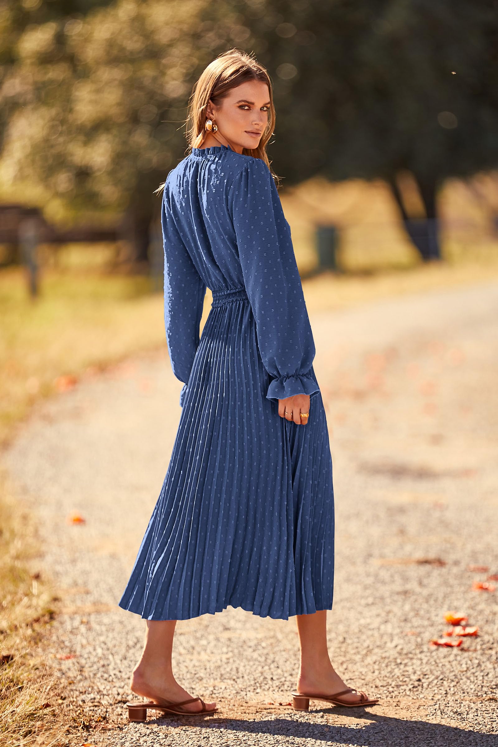 Women's Long Flowy Dress 2025 Spring Fall Long Sleeve Swiss Dot V Neck Midi Party Dresses (Grey Blue,Small)