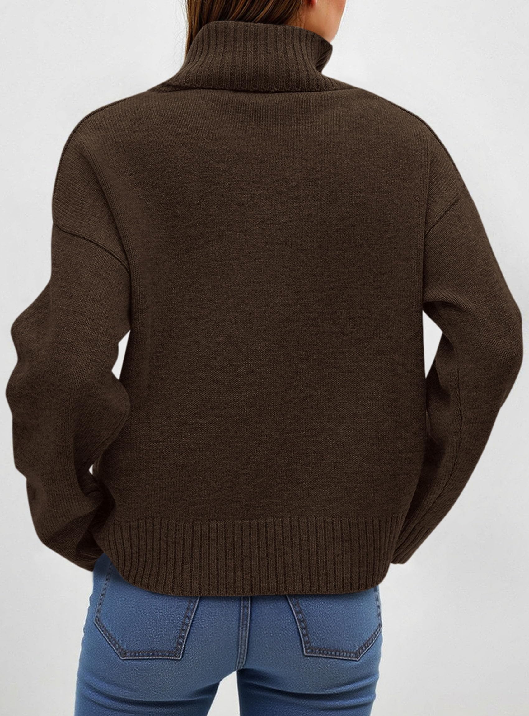 Womens Turtleneck Long Sleeve Knit Sweater,Brown,S