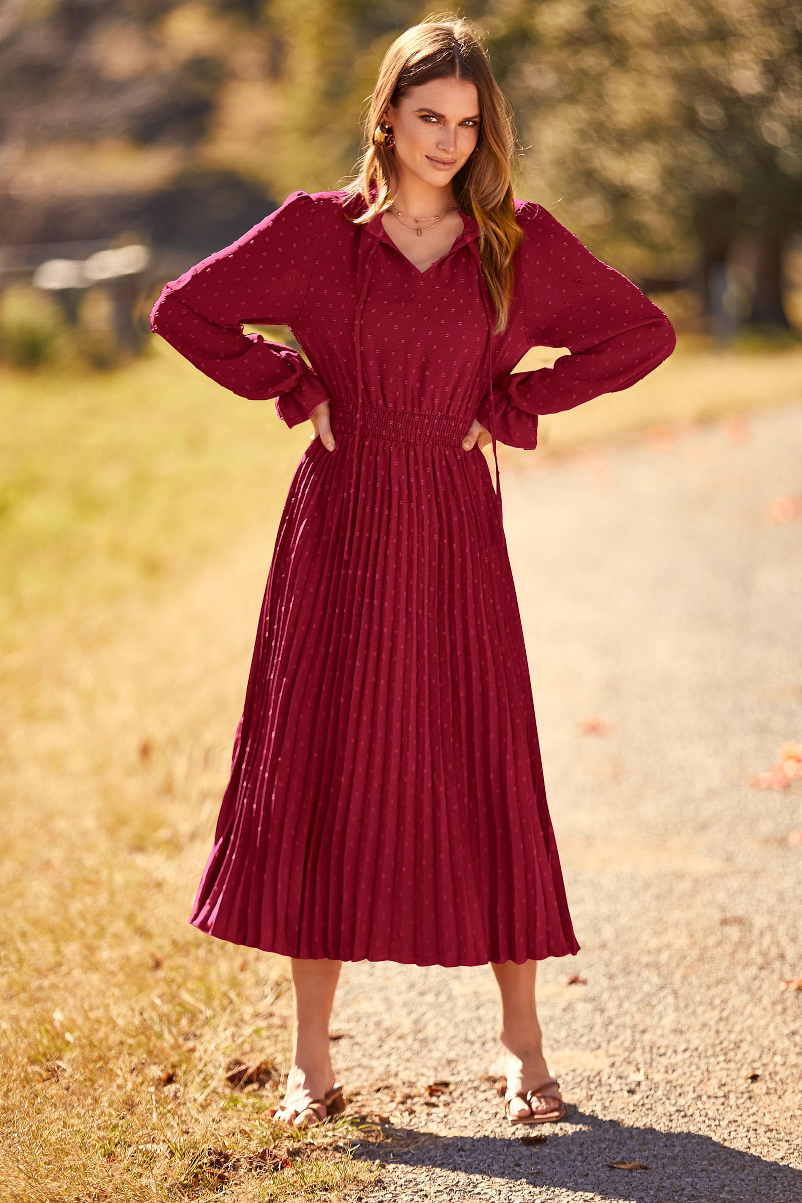 Womens Pleated Midi Dress Casual Long Sleeve V Neck Swiss Dot Beach Flowy Dresses (Wine Red,Small)
