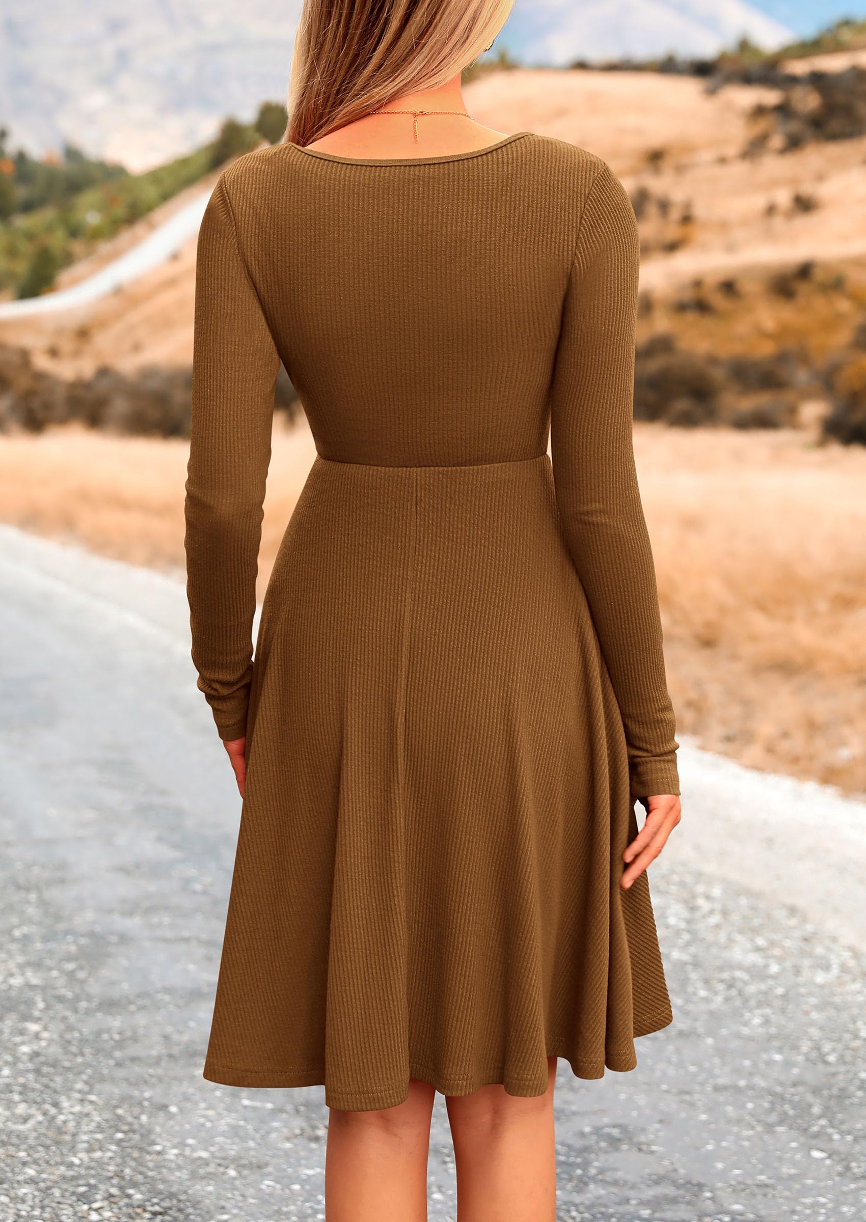Women's Fall Casual Long Sleeve Short Dress (Brown,S)