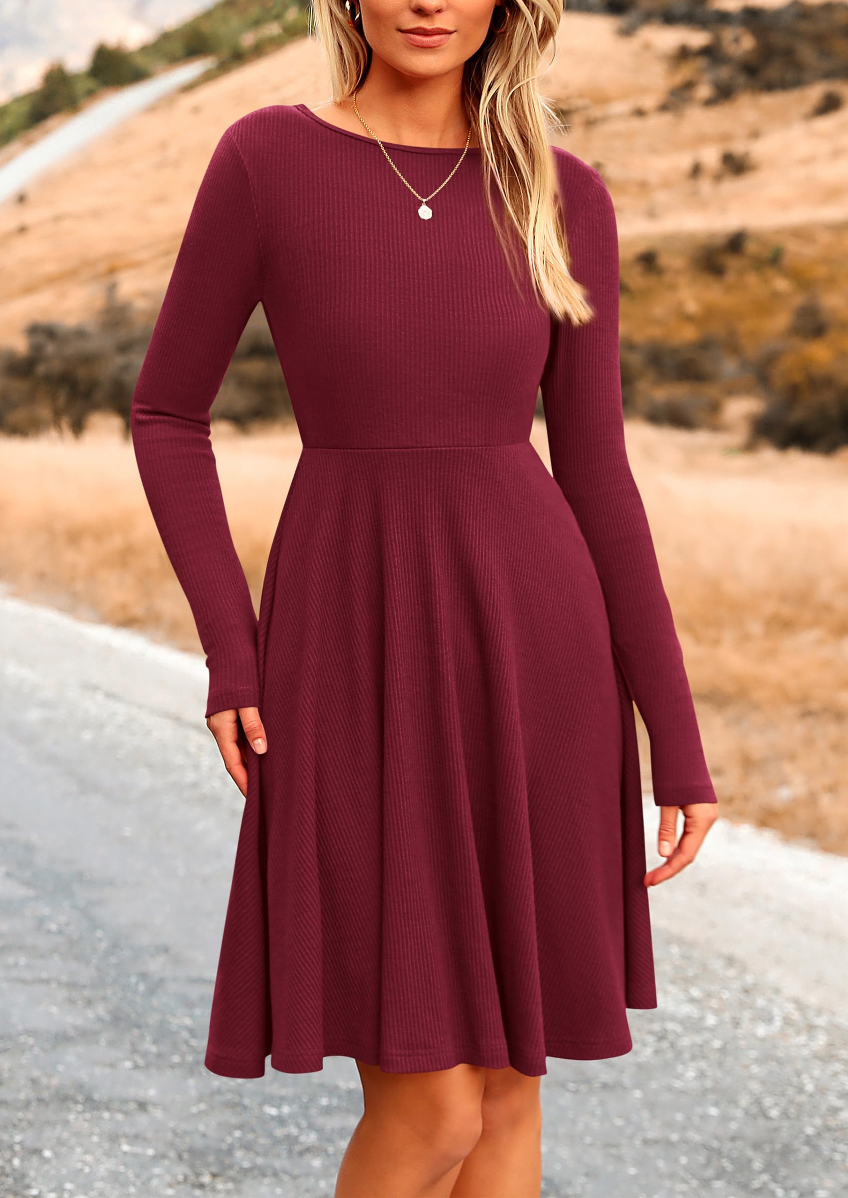 Women's Fall Casual Long Sleeve Short Dress (Wine Red,S)