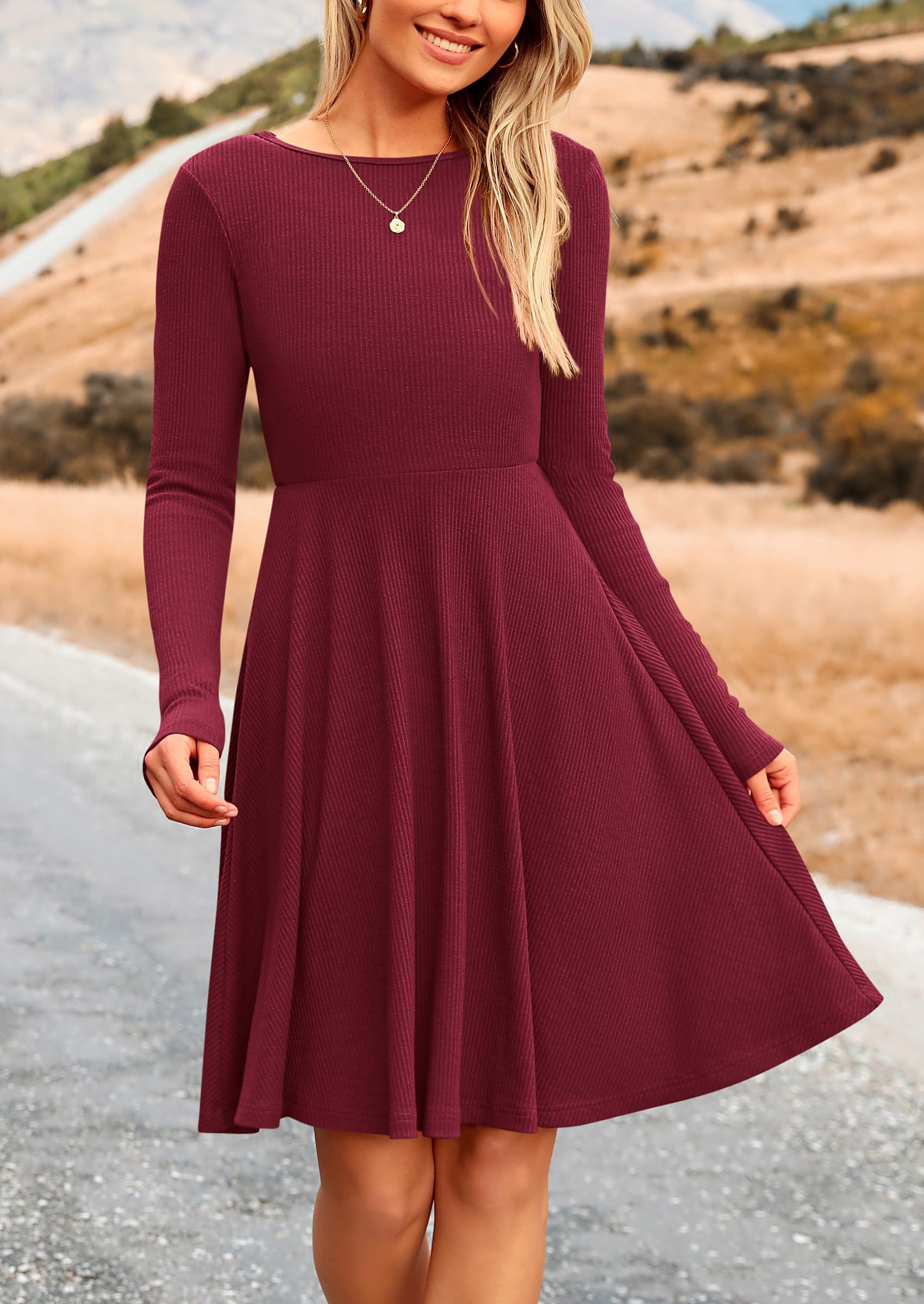 Women's Fall Casual Long Sleeve Short Dress (Wine Red,S)