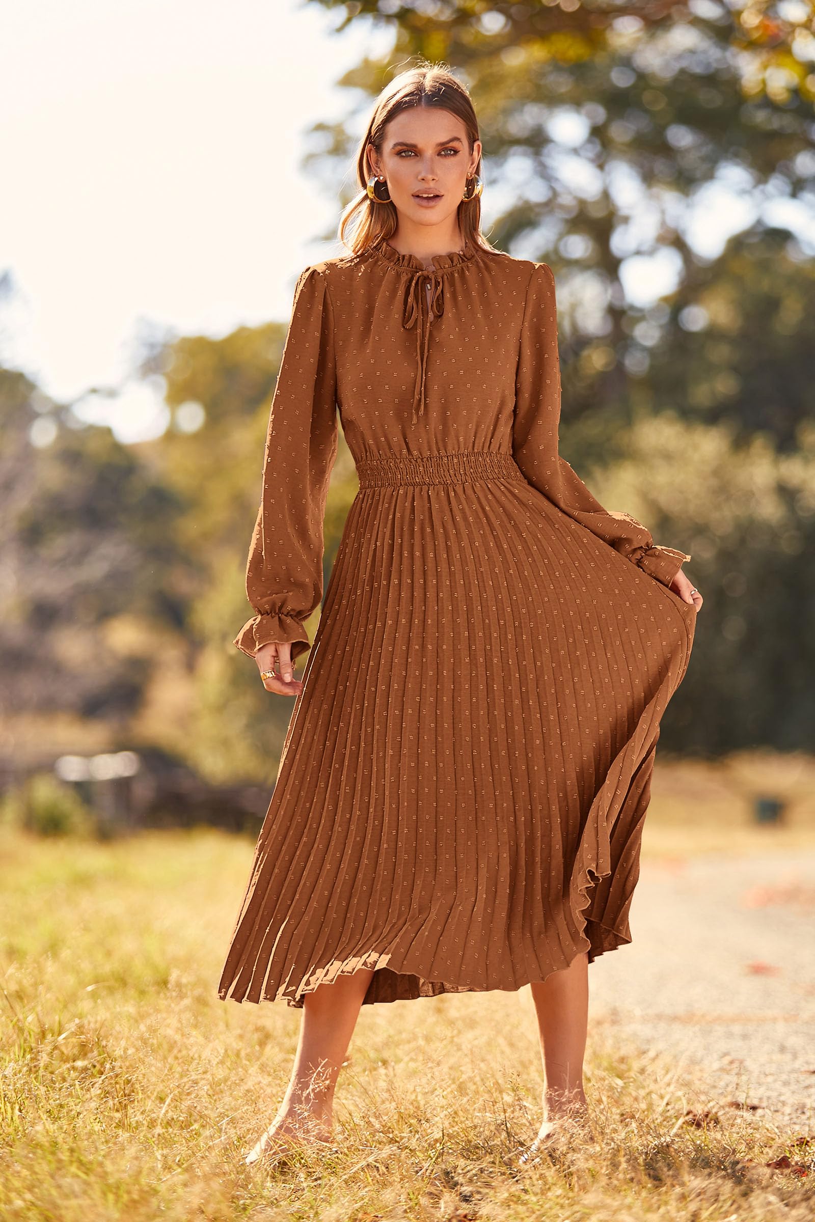 Women's 2025 Spring Fall Wedding Guest Dress Long Sleeve Swiss Dot Pleated A Line Midi Dress (Brown,Small)
