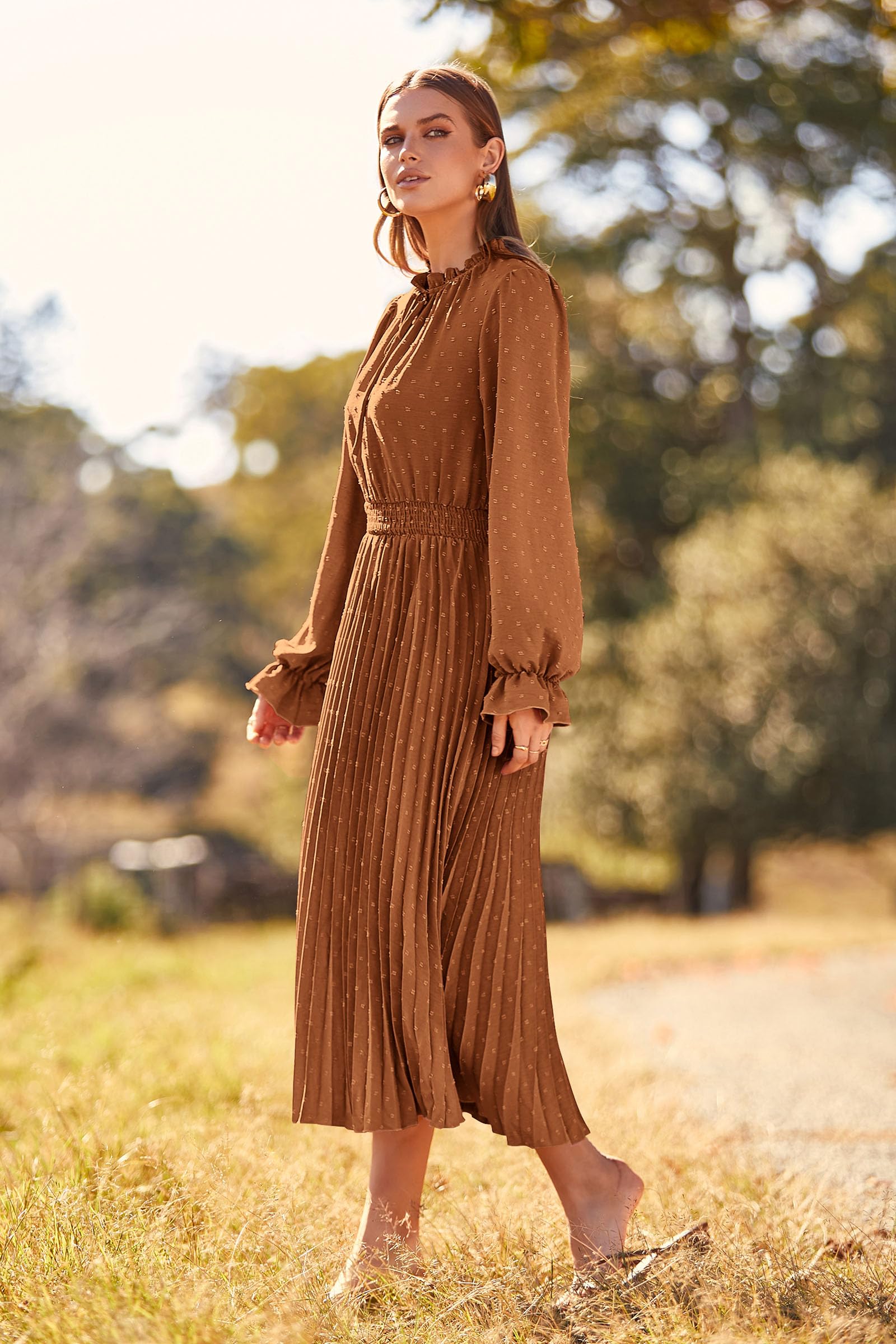 Women's 2025 Spring Fall Wedding Guest Dress Long Sleeve Swiss Dot Pleated A Line Midi Dress (Brown,Small)