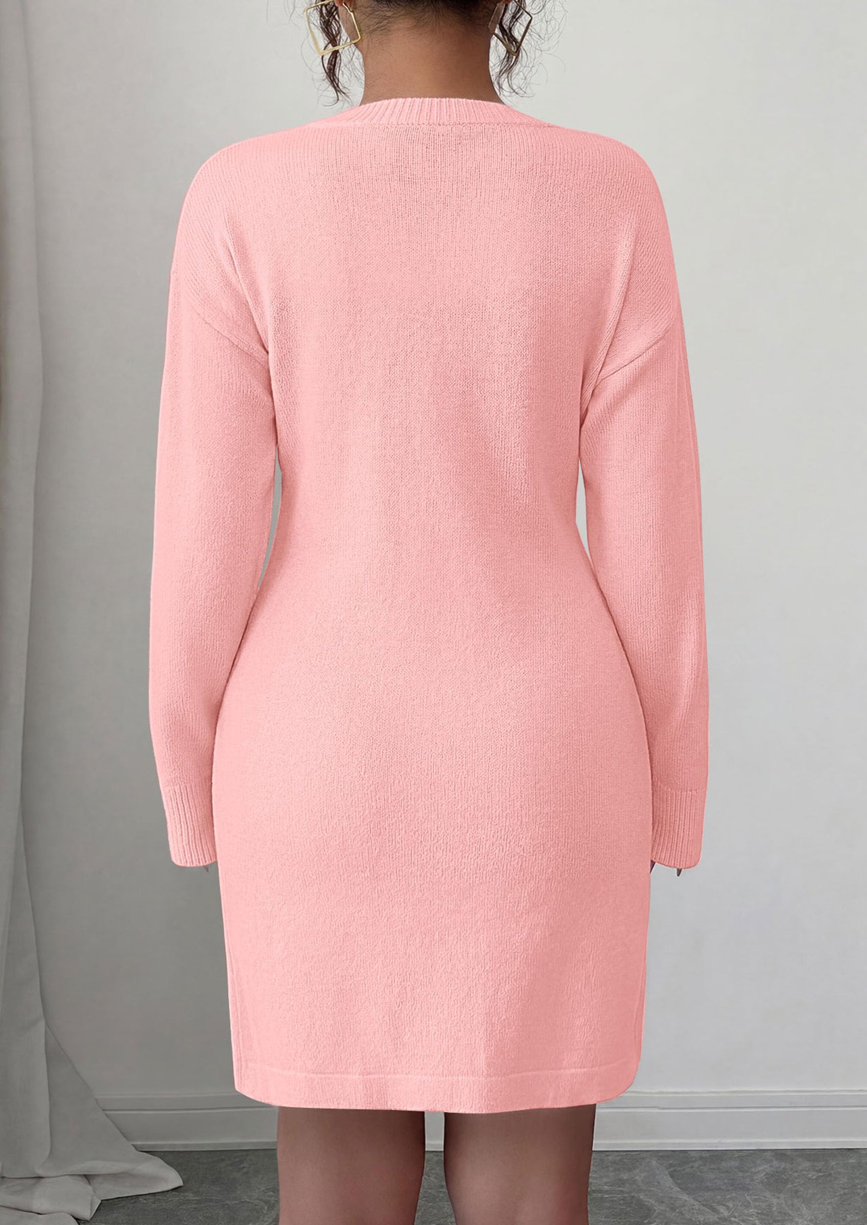 Women's Embroidered Long Sleeve Bodycon Mini Sweater Dress