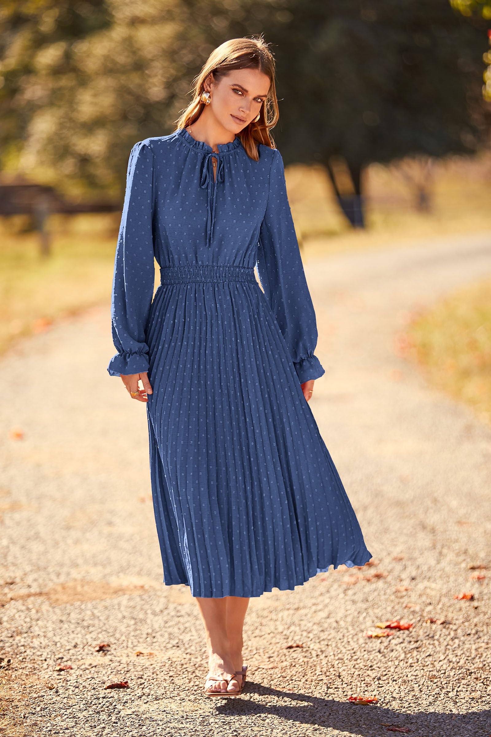 Women's Long Flowy Dress 2025 Spring Fall Long Sleeve Swiss Dot V Neck Midi Party Dresses (Grey Blue,Small)