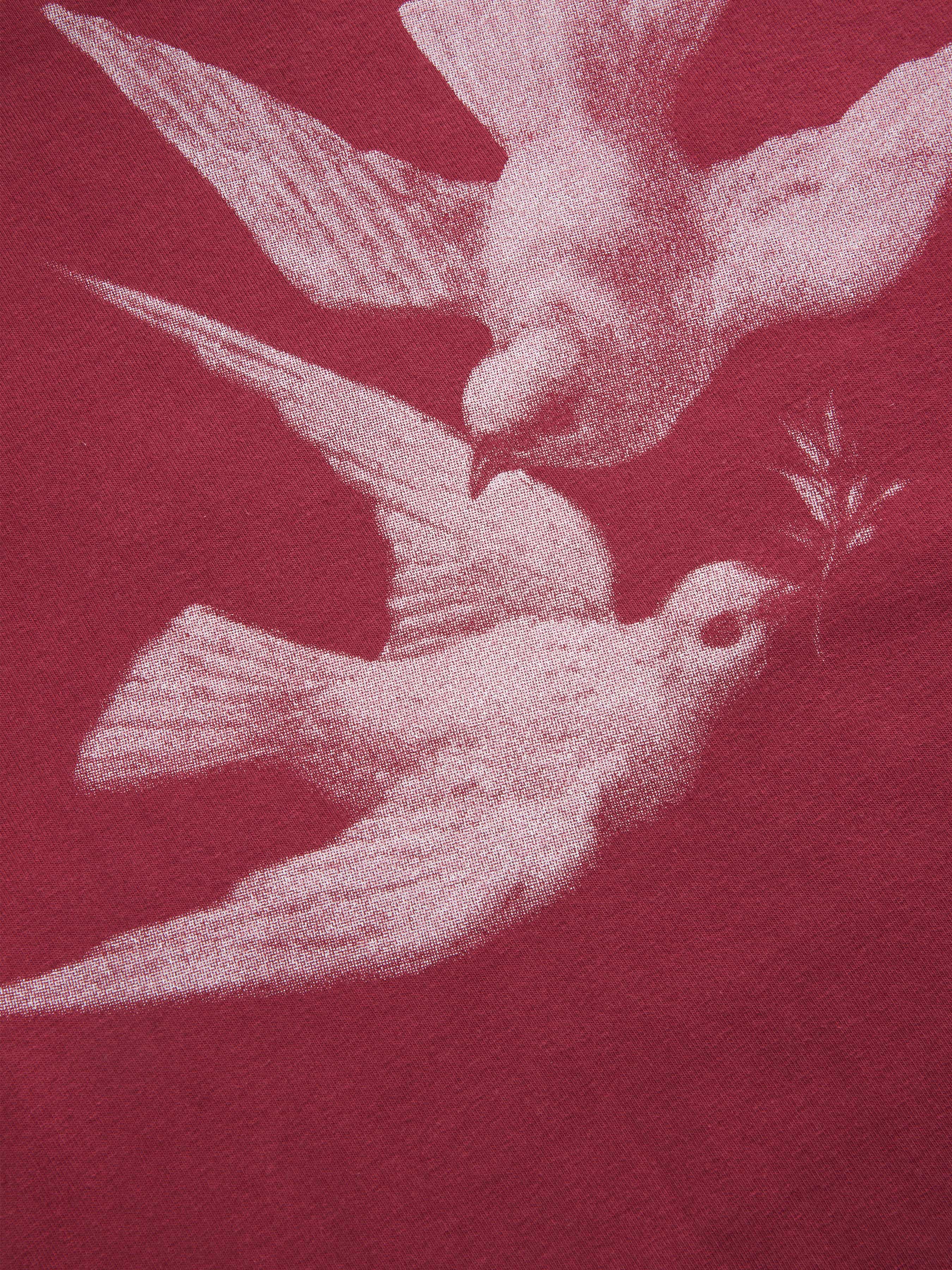 Bird Graphic Cotton Raglan Sleeve Crop Tee - Wine