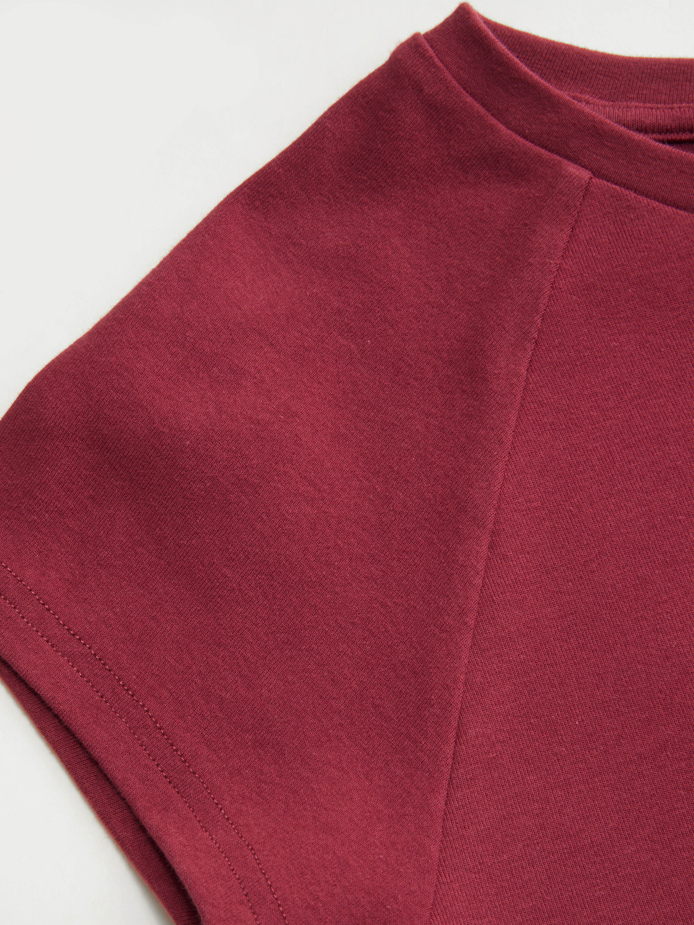 Bird Graphic Cotton Raglan Sleeve Crop Tee - Wine