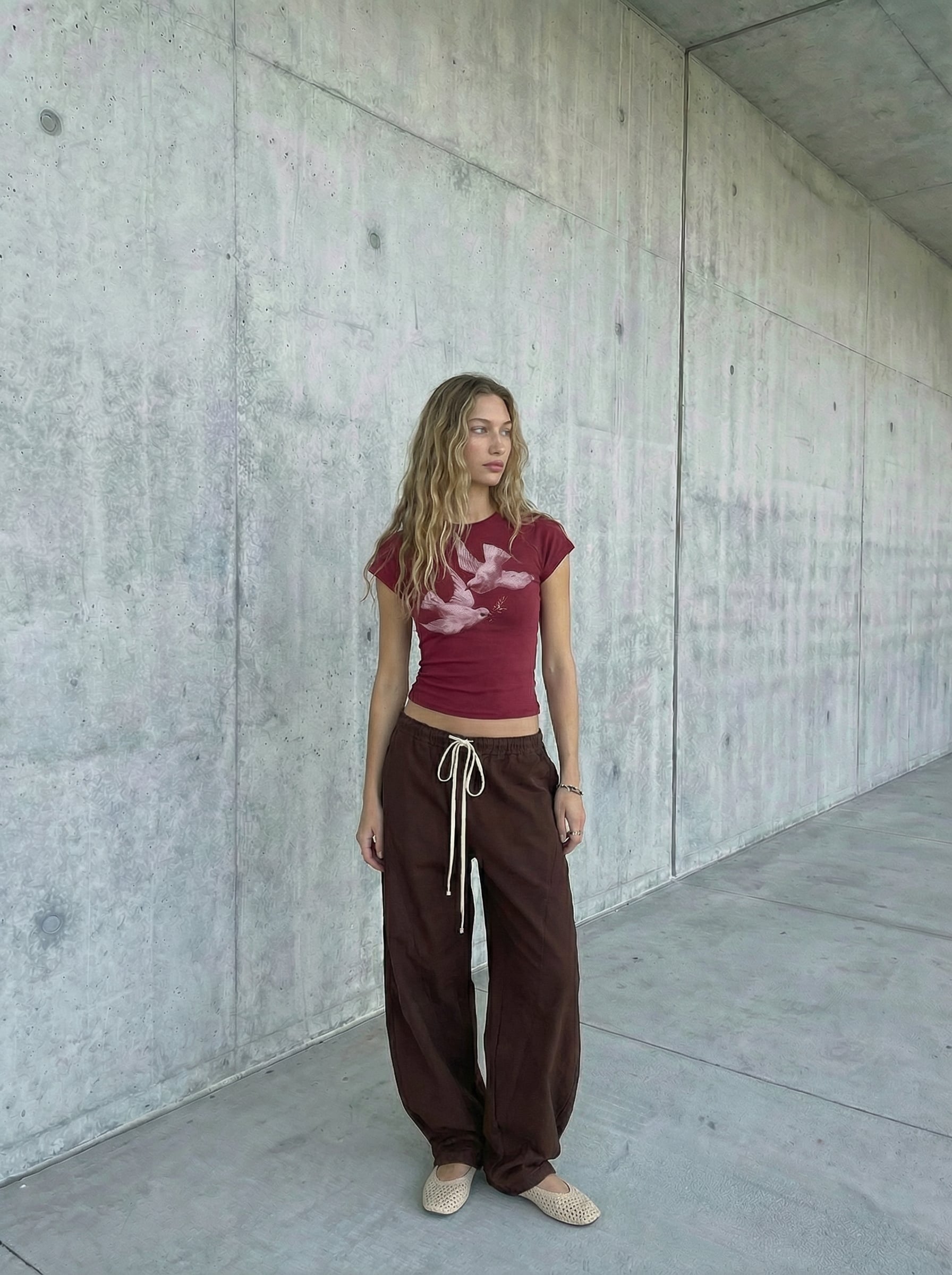 Bird Graphic Cotton Raglan Sleeve Crop Tee - Wine