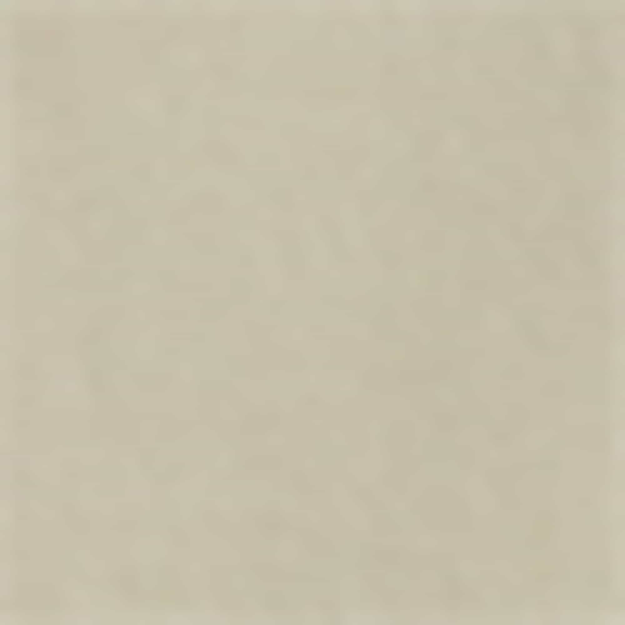 Chinos with belt beige (3)