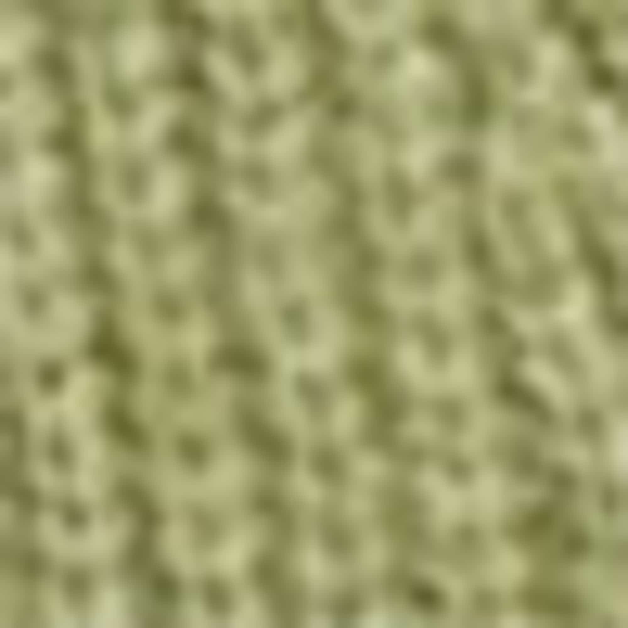 Cardigan - ribbed green