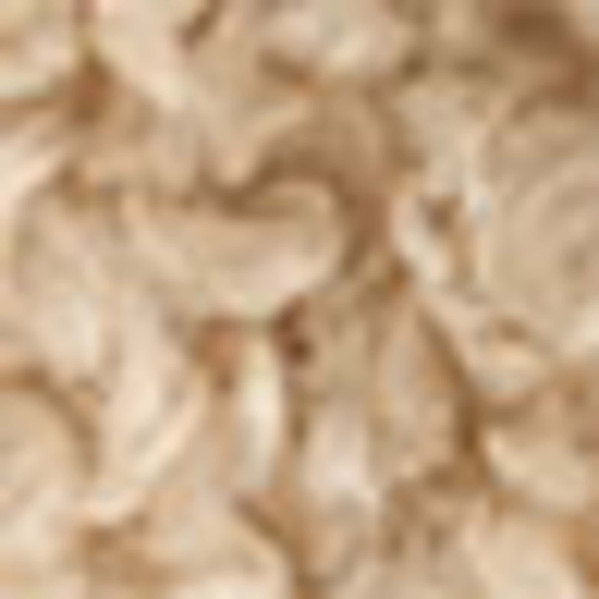 Reversible gilet beige