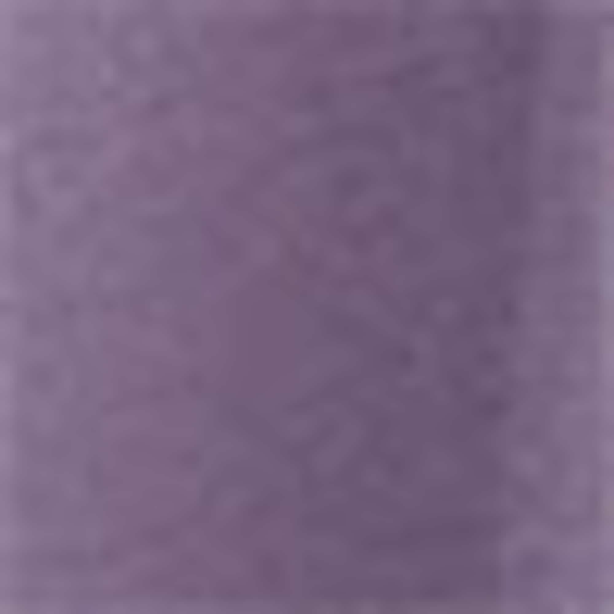 T-shirt - relaxed fit purple