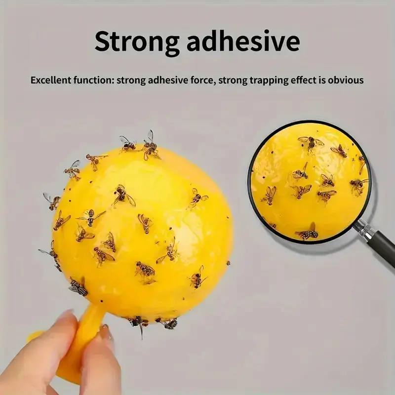Fruit Fly Balls Fly Ball Trap, Sticky Insect Ball, Citrus Mosquito Ball Trap, Fruit Fly Traps, Fly Traps Indoor, 8.2cm Diameter, Heat-Resistant