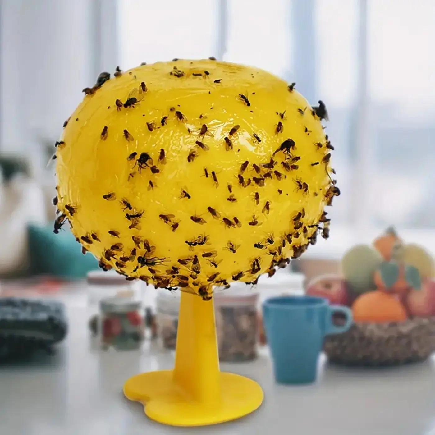 Fruit Fly Balls Fly Ball Trap, Sticky Insect Ball, Citrus Mosquito Ball Trap, Fruit Fly Traps, Fly Traps Indoor, 8.2cm Diameter, Heat-Resistant