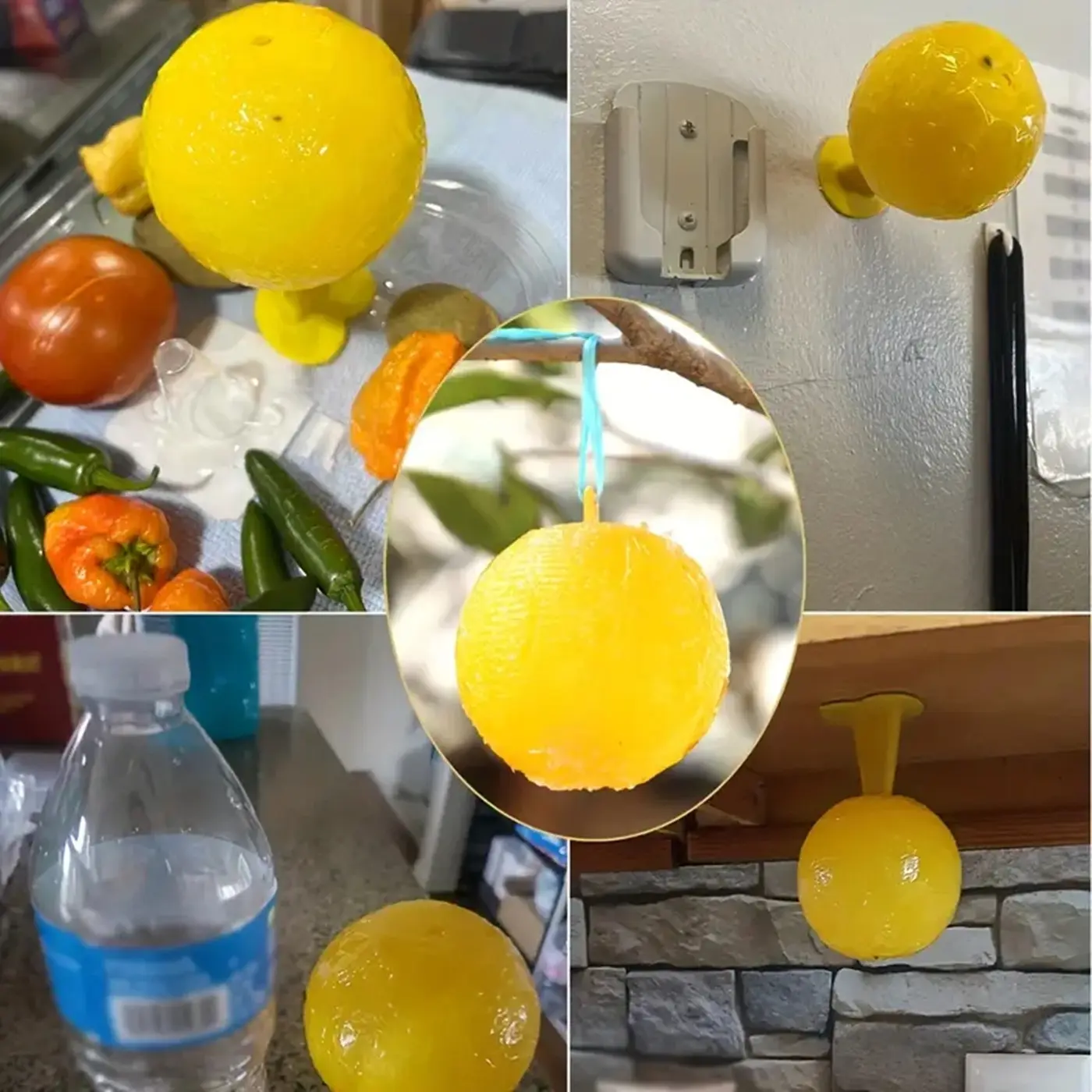 Fruit Fly Balls Fly Ball Trap, Sticky Insect Ball, Citrus Mosquito Ball Trap, Fruit Fly Traps, Fly Traps Indoor, 8.2cm Diameter, Heat-Resistant