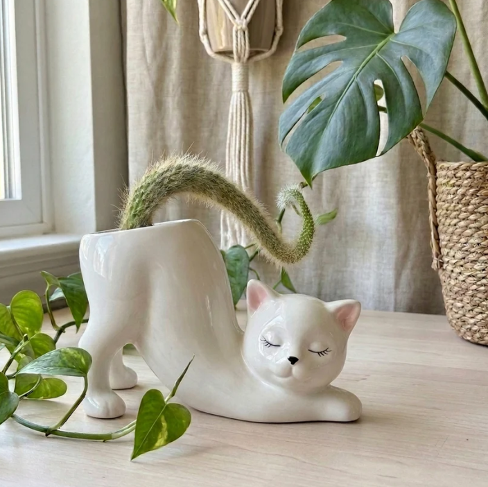 Handmade Plant Pot - 4 Options To Choose