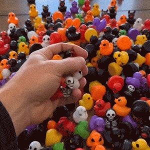 A whole flock of Halloween mischief
