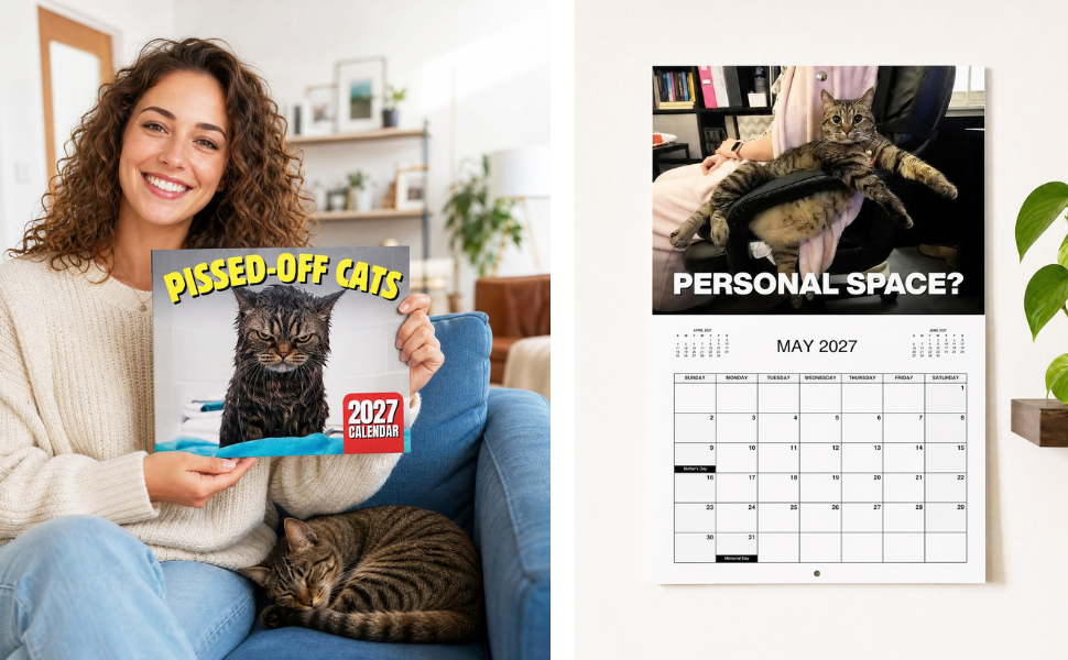angry cats calendar 2027