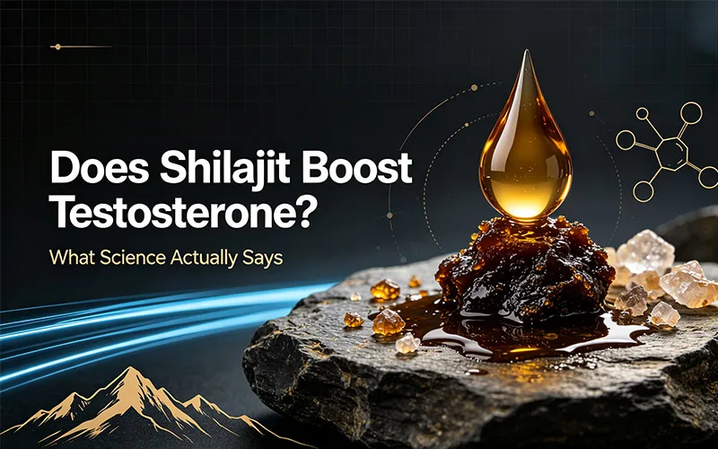 Does Shilajit Boost Testosterone article cover with shilajit resin and science graphics