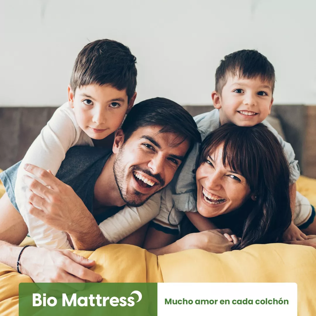 Colchon Queen Size Bio Cotton Memory Foam Bio Mattress Color Blanco-almohada