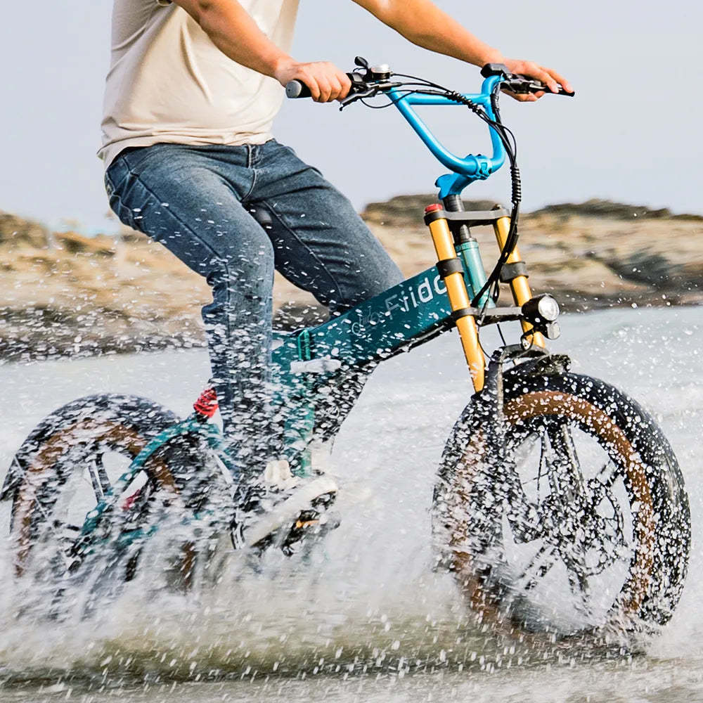 yg-Fiido M1 Pro Bicicleta Electrica Plegable De Ruedas Gordas