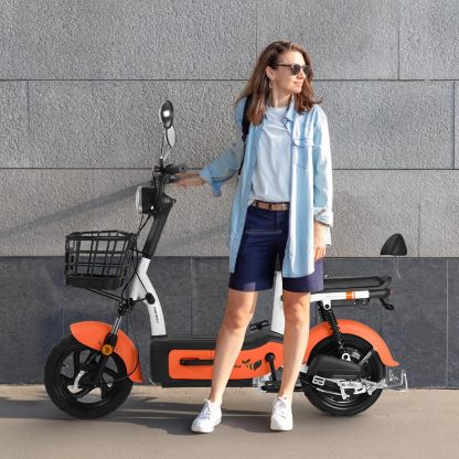 HONEYWHALE U1s Bicicleta eléctrica para adultos, bicicleta eléctrica con alarma, motor máximo 650W, velocidad máxima 31KM/H, autónoma 60-65KM, batería de gran capacidad 20AH, dos asientos
