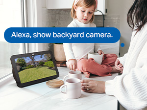Pair with Smart Assistants