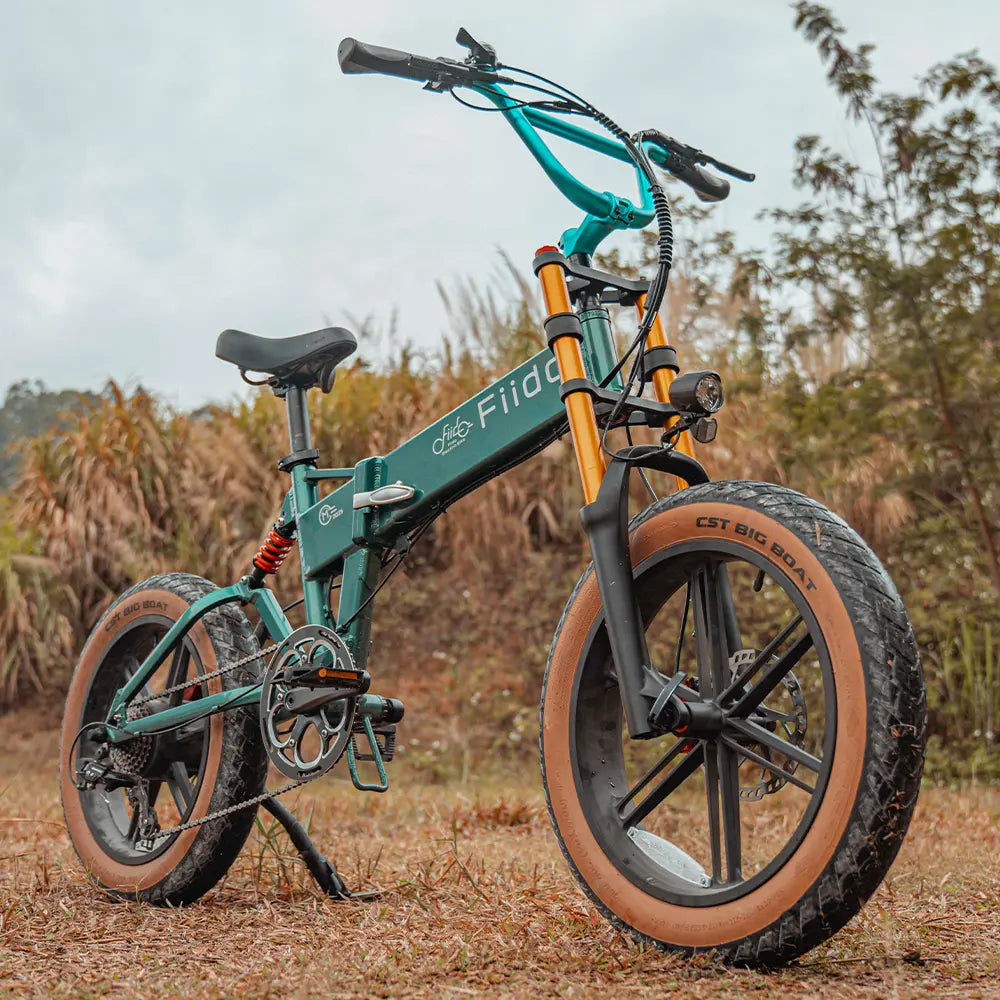 yg-Fiido M1 Pro Bicicleta Electrica Plegable De Ruedas Gordas
