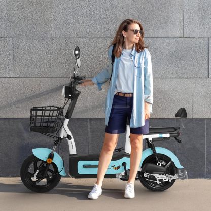 HONEYWHALE U1s Bicicleta eléctrica para adultos, bicicleta eléctrica con alarma, motor máximo 650W, velocidad máxima 31KM/H, autónoma 60-65KM, batería de gran capacidad 20AH, dos asientos
