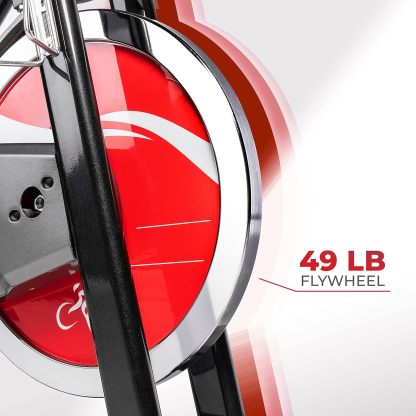 Sunny Health & Fitness AerPro Ciclismo Indoor