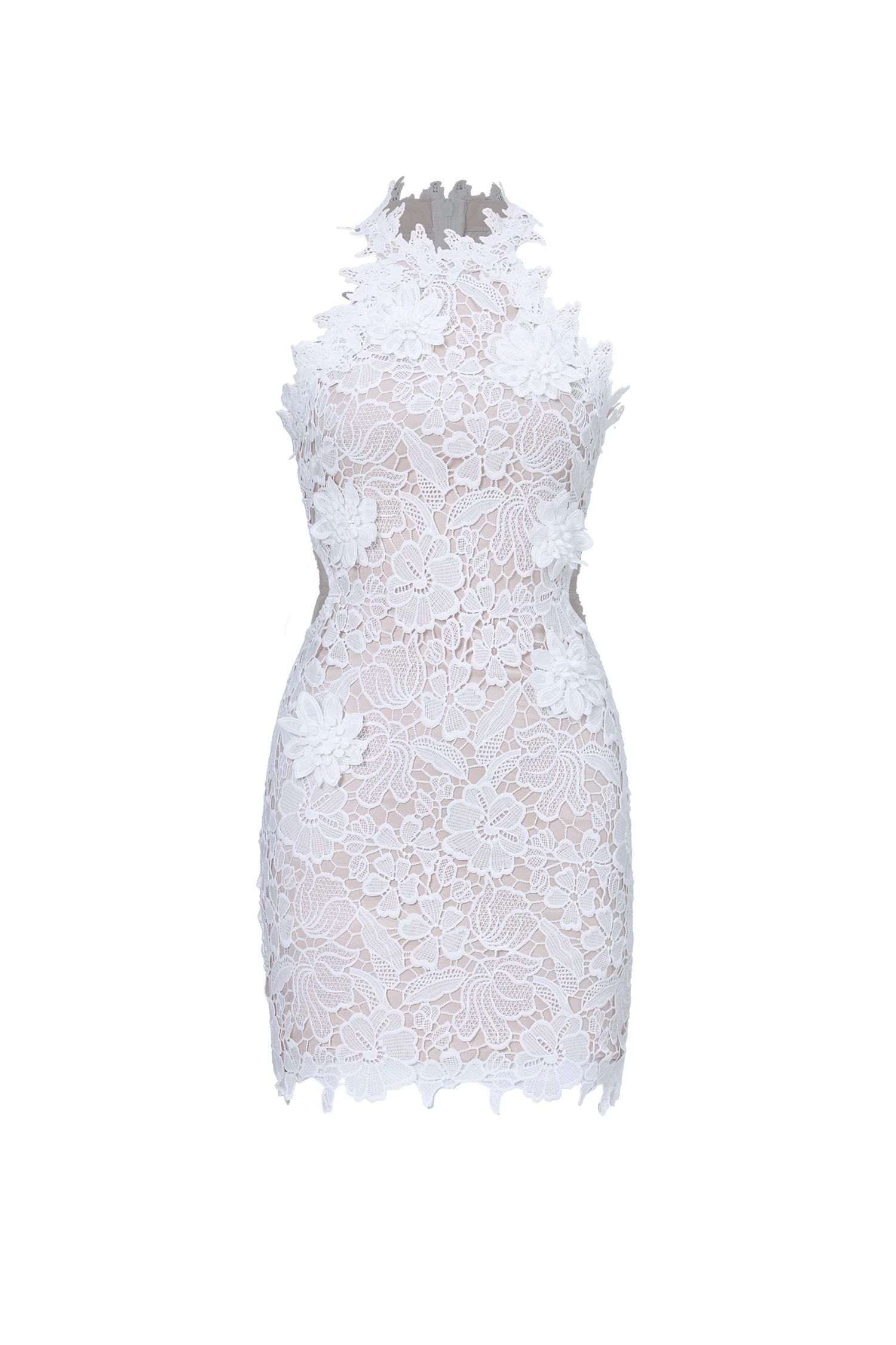 Nadja Romantic Contour Sleeveless Floral Lace Mini Dress