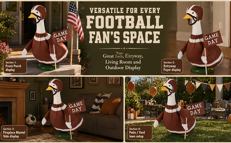 Porch goose football outfit